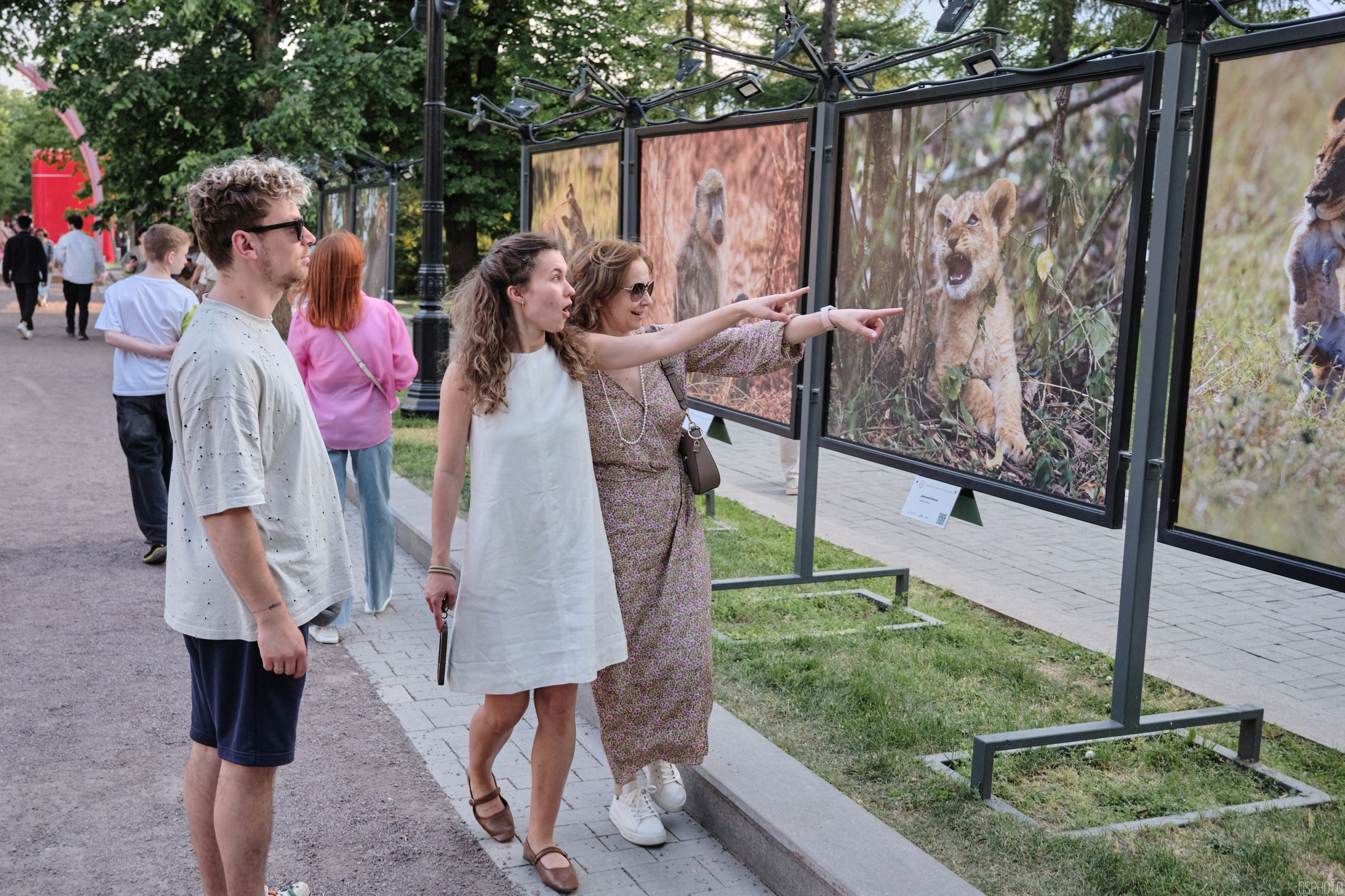 Бульвары для всех l Лето в Москве. Фотографъ Сергѣевъ. Поймать мгновеніе