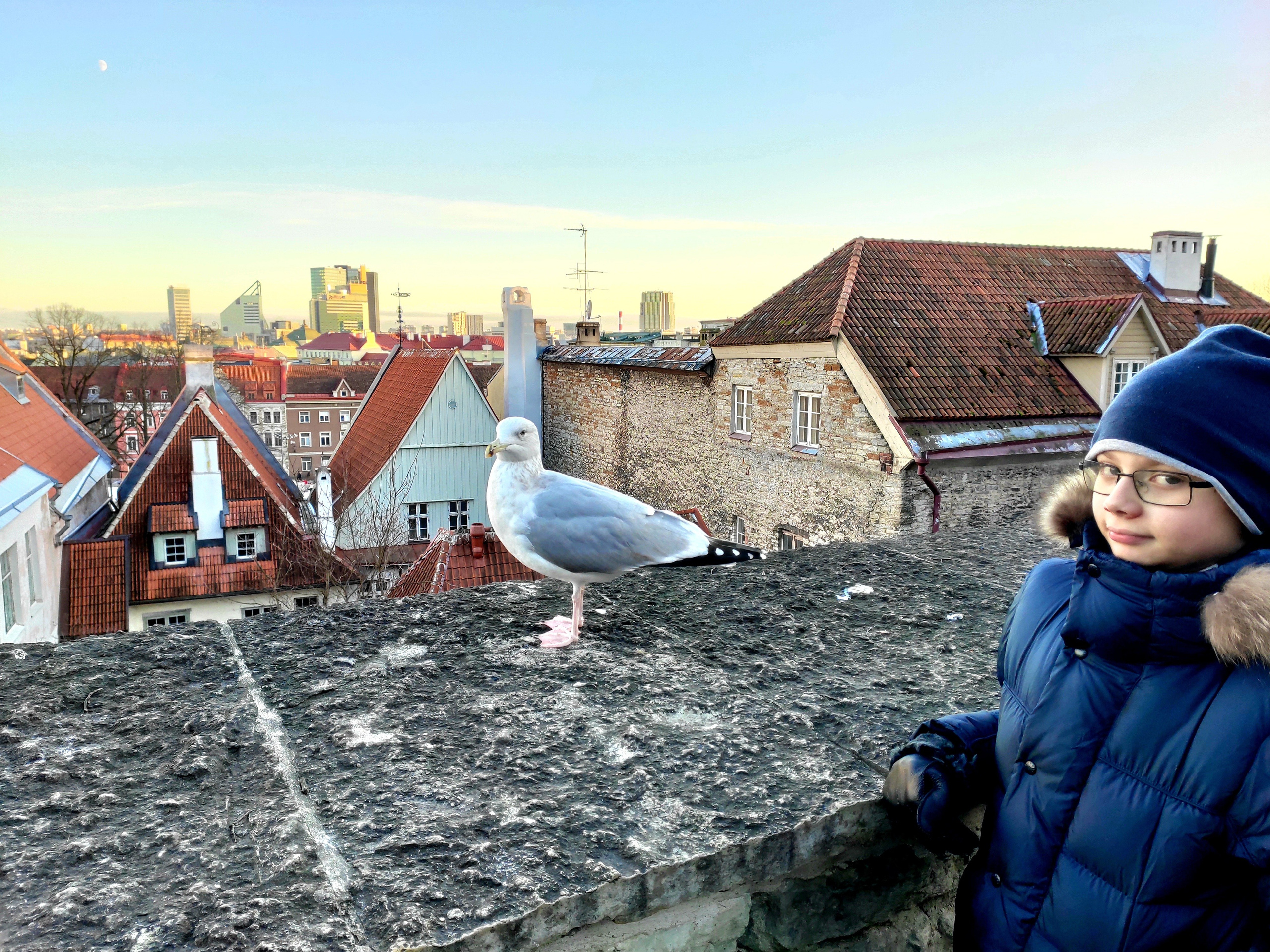 Местные жители - охотники на туристов