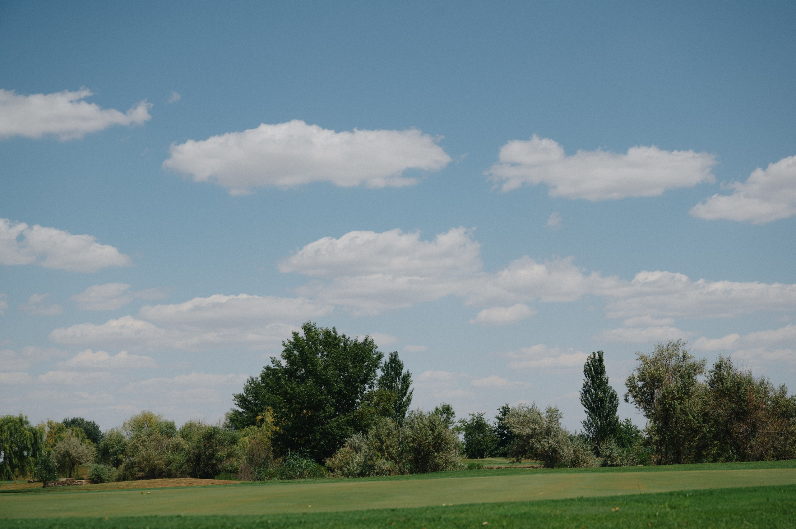 Богдан и Катя. Гольф клуб. Свадебный фотограф и видеограф