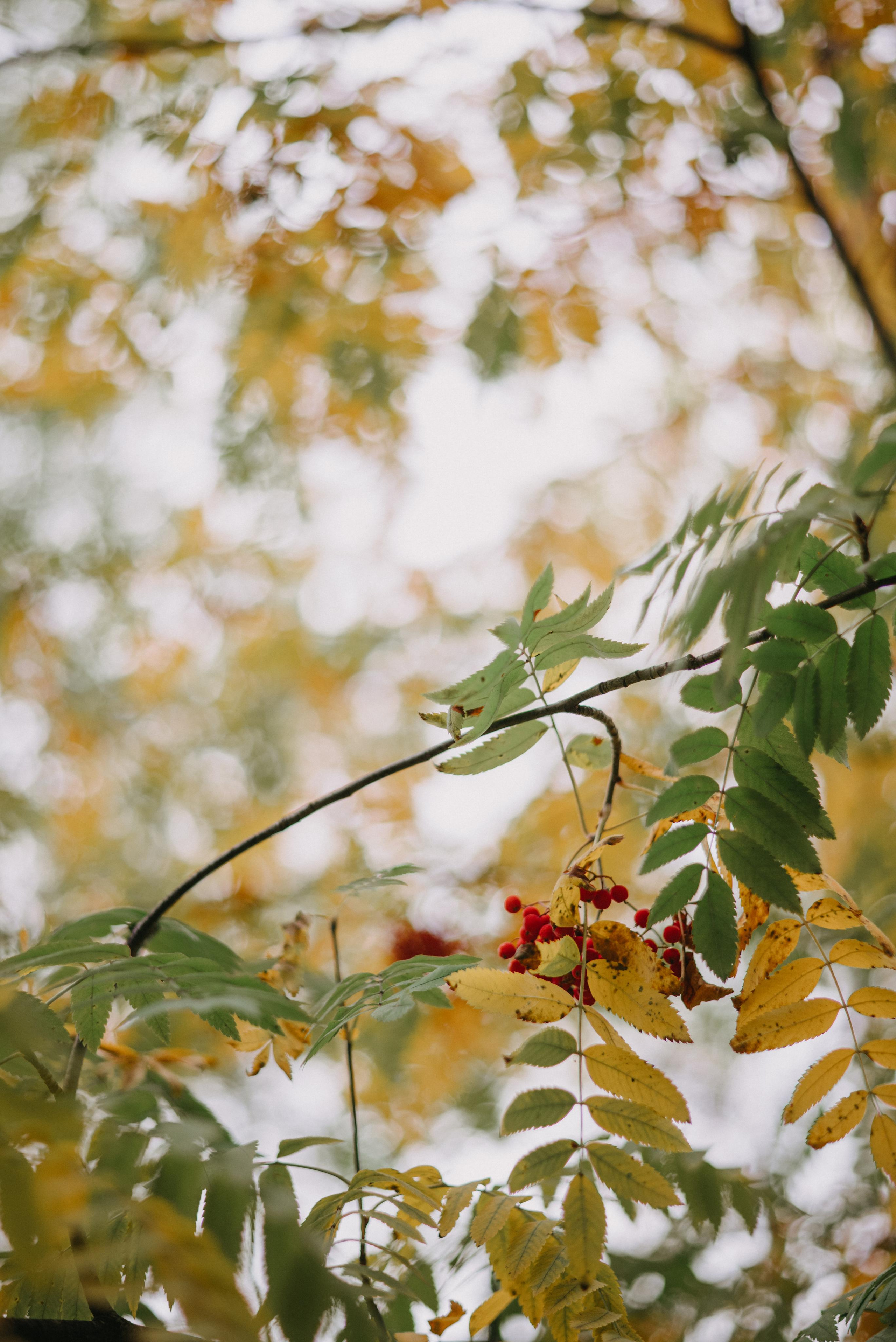 Никита и Лена. Свадебный фотограф Уфа Дарья Насырова