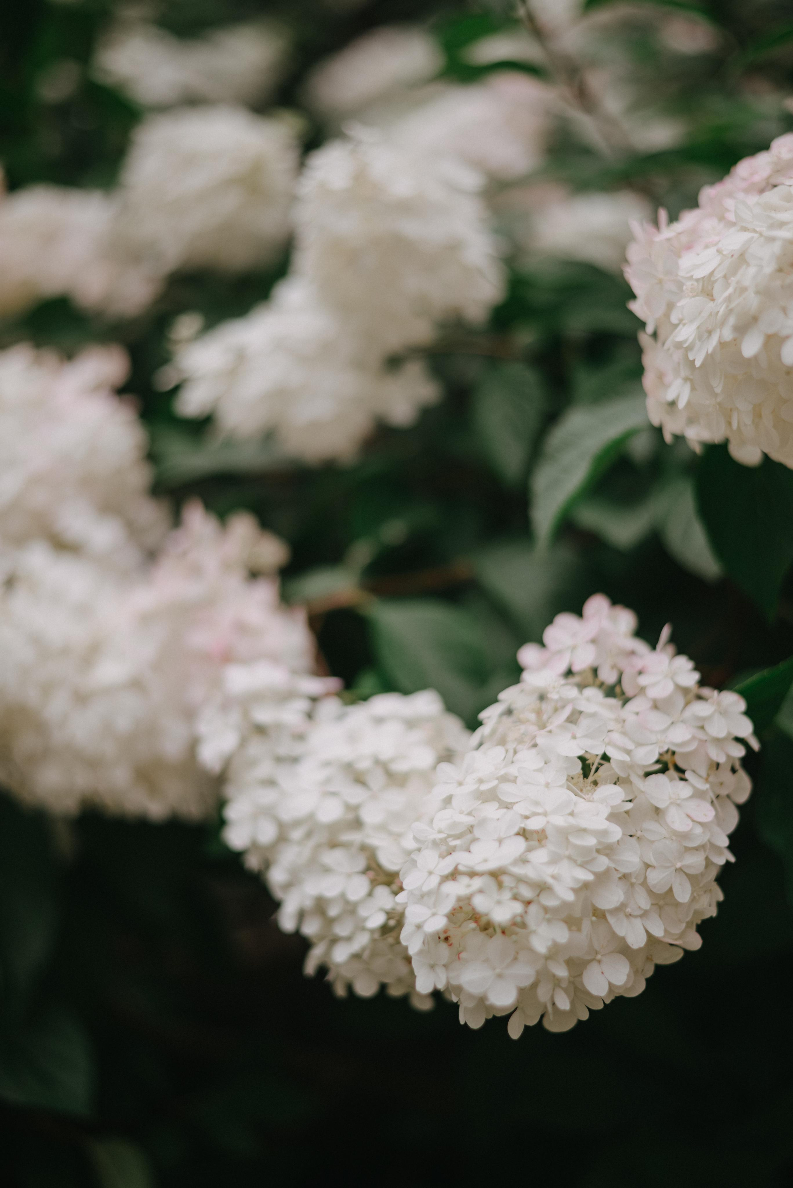 Вильдан и Адель. Свадебный фотограф Уфа Дарья Насырова