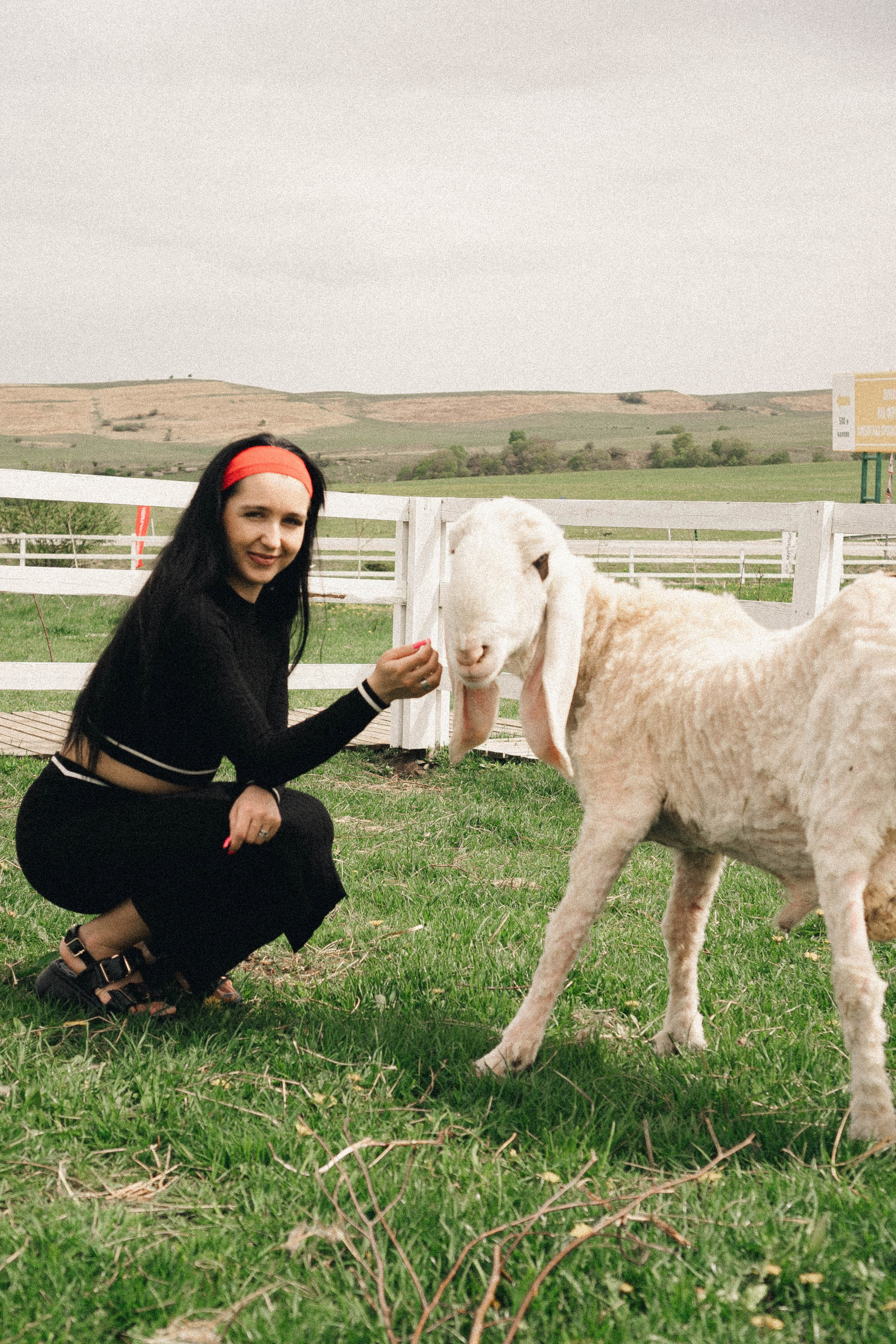Ферма Альпак. Профессиональный фотограф, Санкт-Петербург — Виктория Богомолова