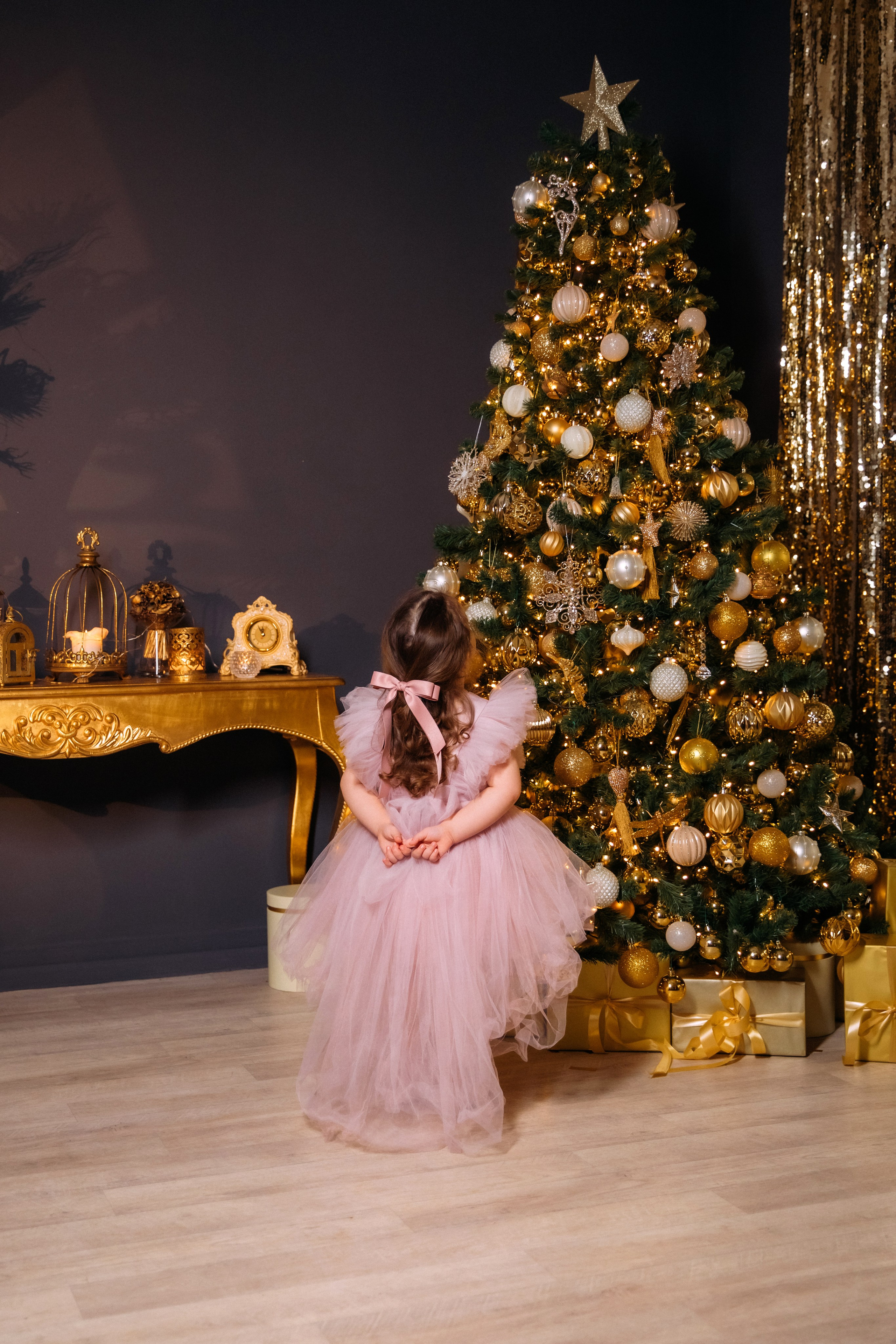 НОВЫЙ 2024 ГОД. Женский и семейный фотограф Елена Петрова