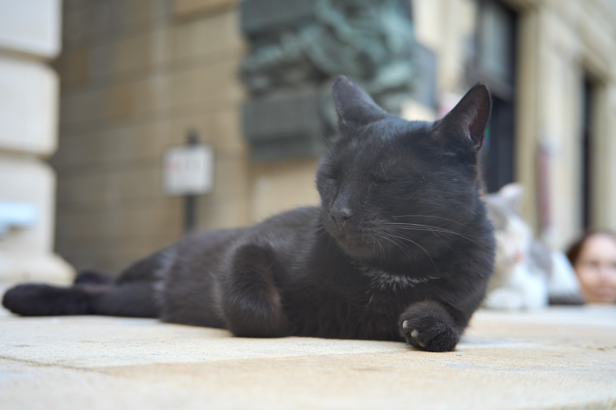 Баку, май 2025. Фотограф, Римма Невинская