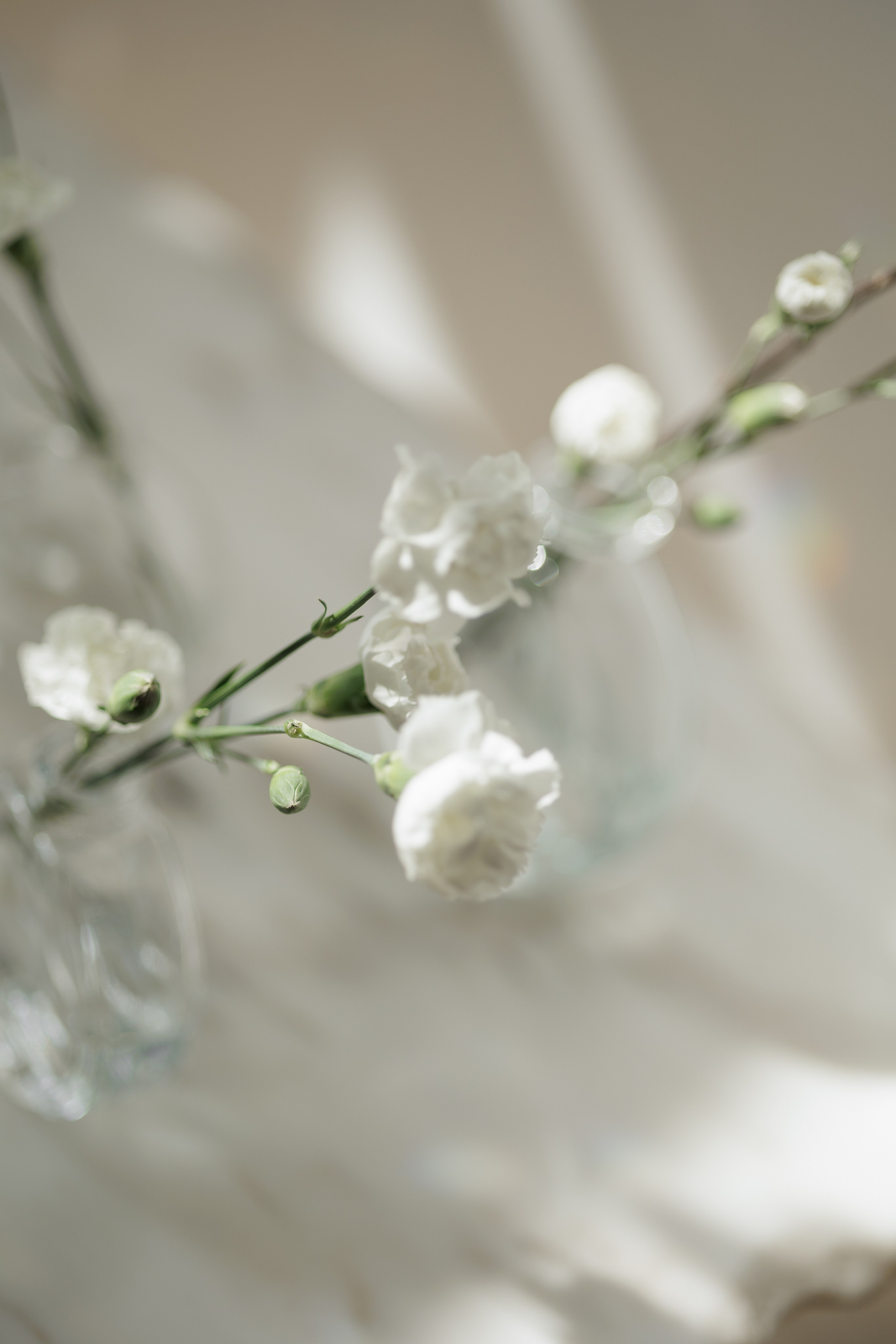 Теплый апрель!. Свадебный фотограф в Ростове-на-Дону Базарова Анастасия