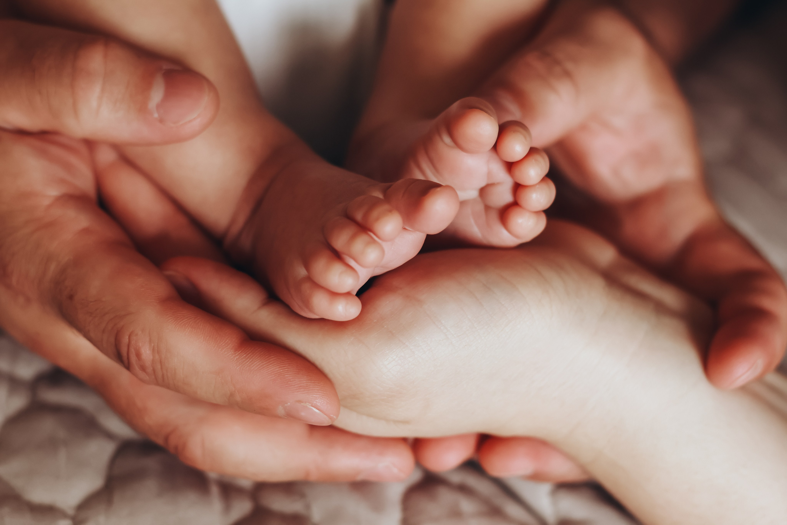 Домашняя семейная фотосессия с новорожденным. Фотограф в Екатеринбурге Пойгина Елена