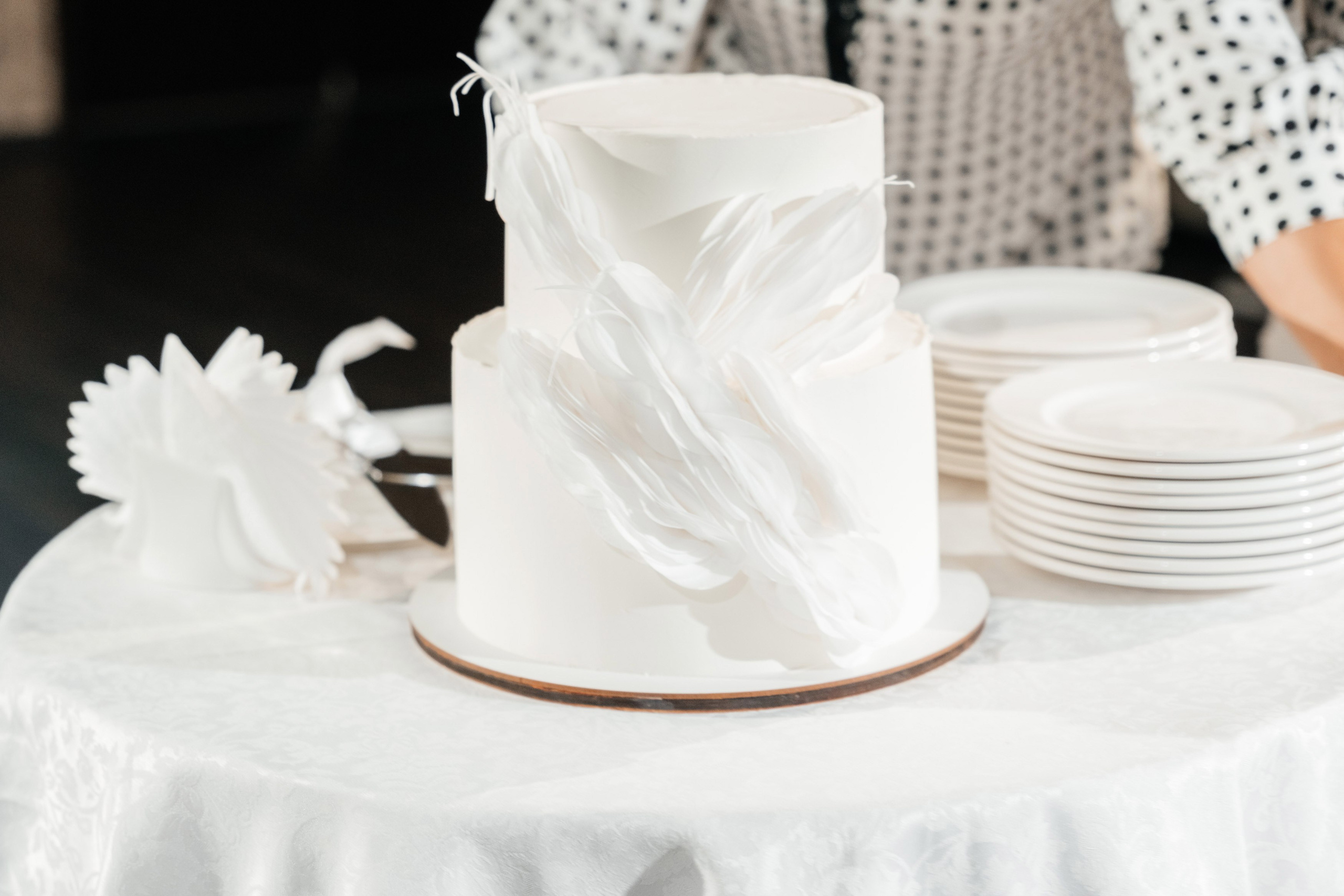 Александр и Екатерина. Gan media. Свадебные видео и фото в Барнауле. Антон Губанов