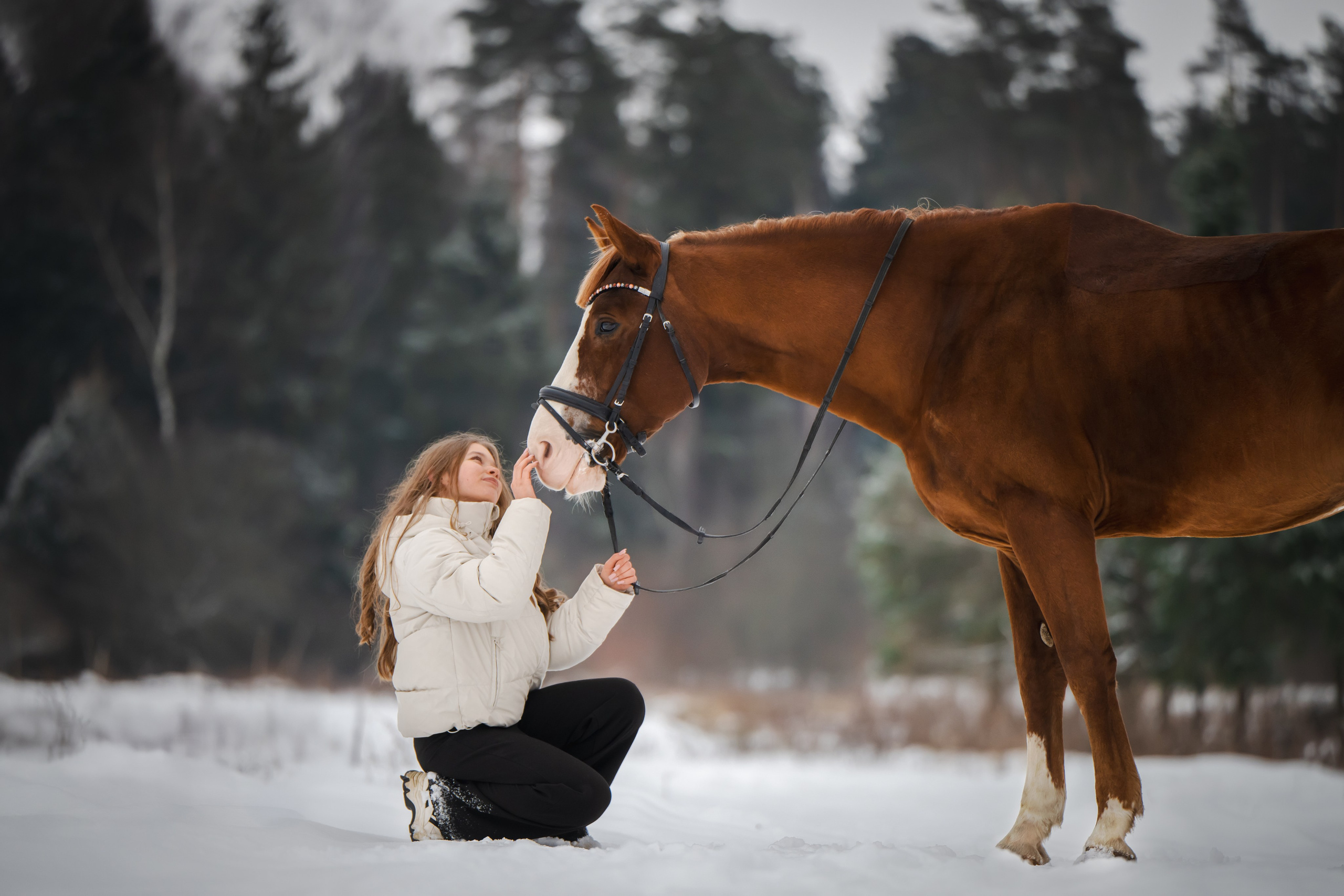 Виктория и Лео. Фотограф Анималист в Москве Анастасия Жучкова