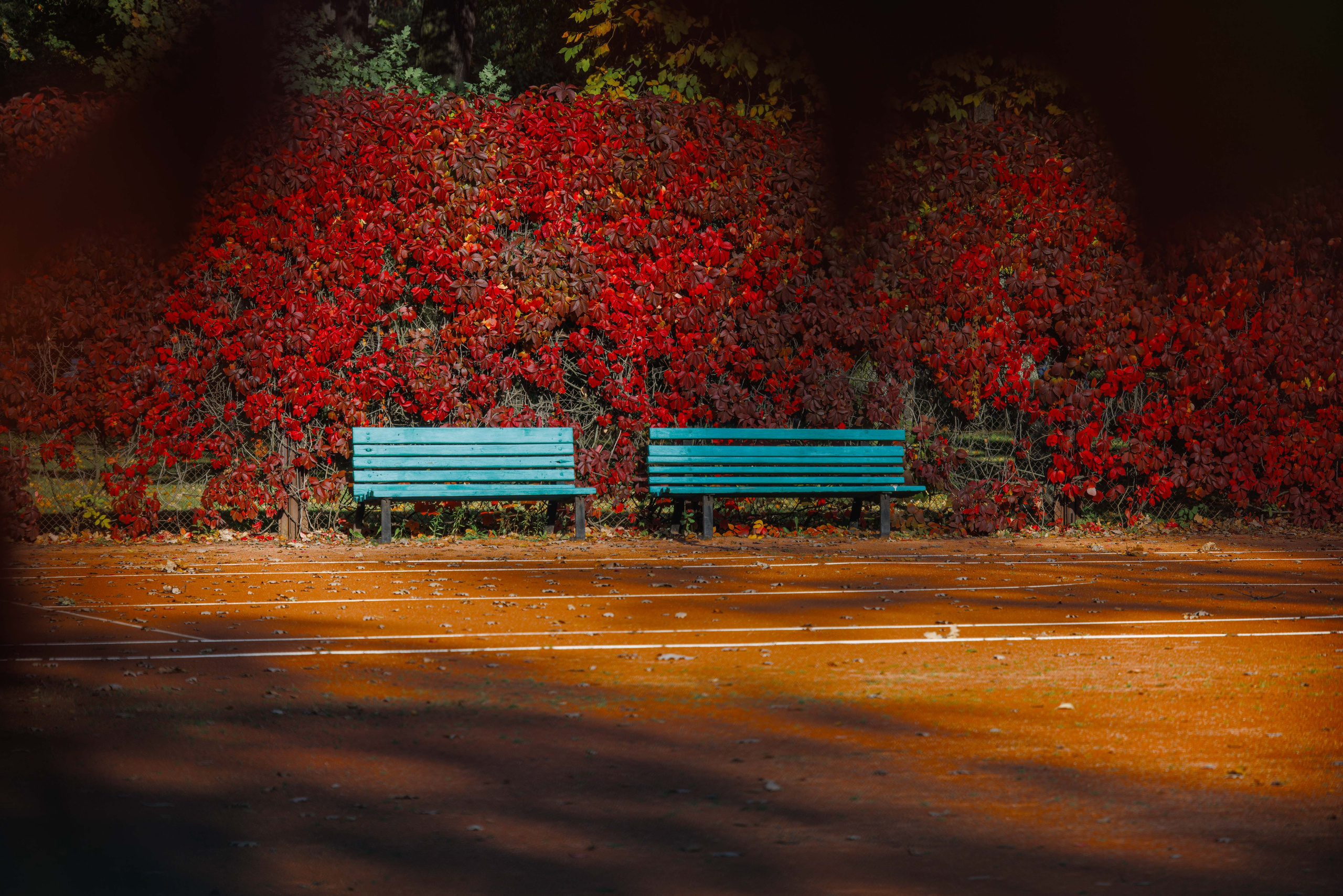 Санкт-Петербург. Фотограф Балаев Михаил