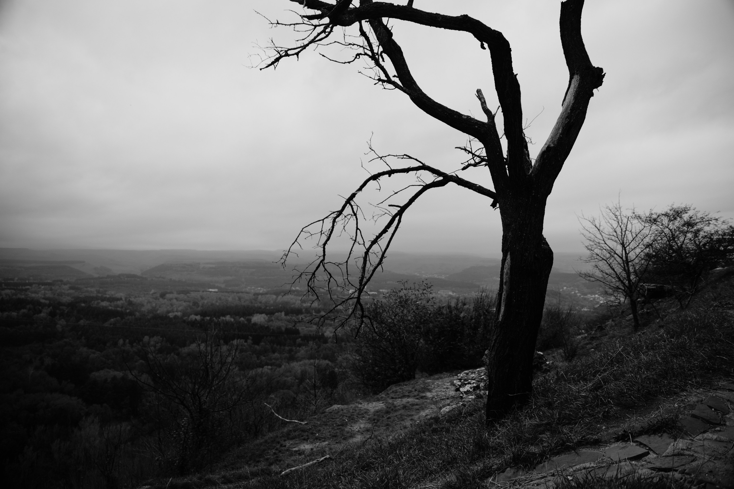 Кисловодск. Портретный и уличный фотограф в Москве Таня Корнеева