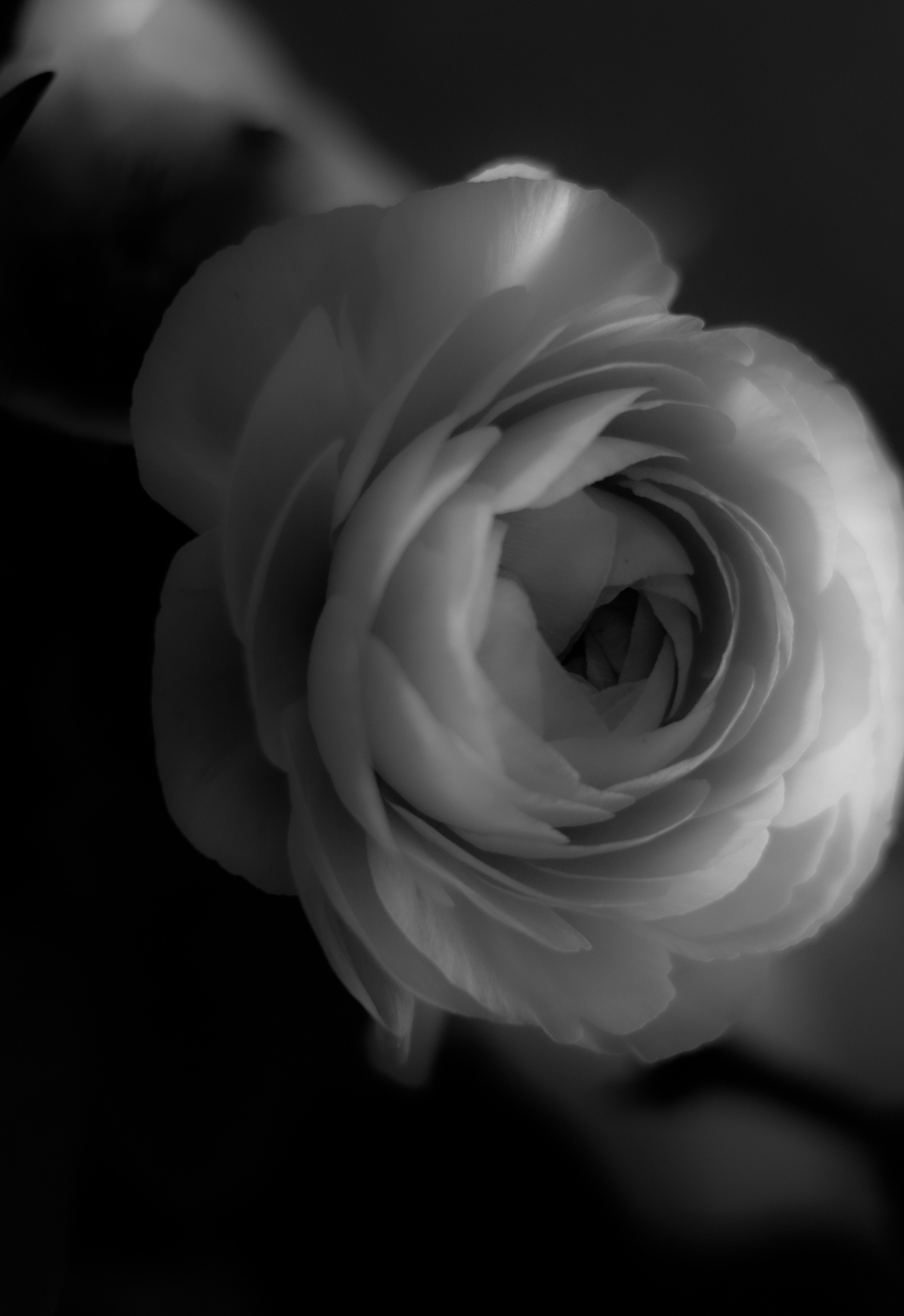 ПОРТРЕТ. Портретный и семейный фотограф в Мариуполе, РФ. Даша Жогло