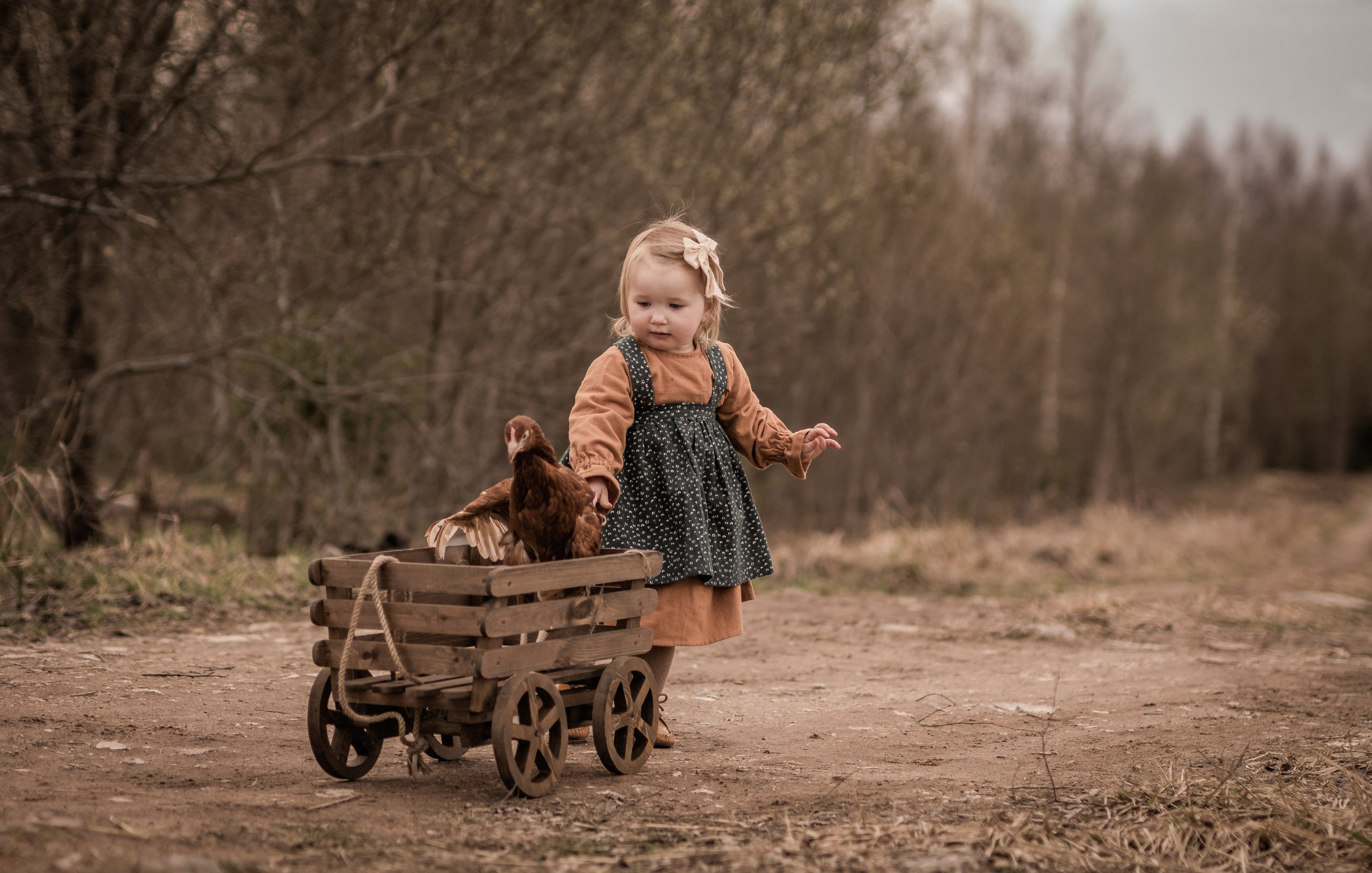 Куриная история. Семейный фотограф Ефремова Виктория
