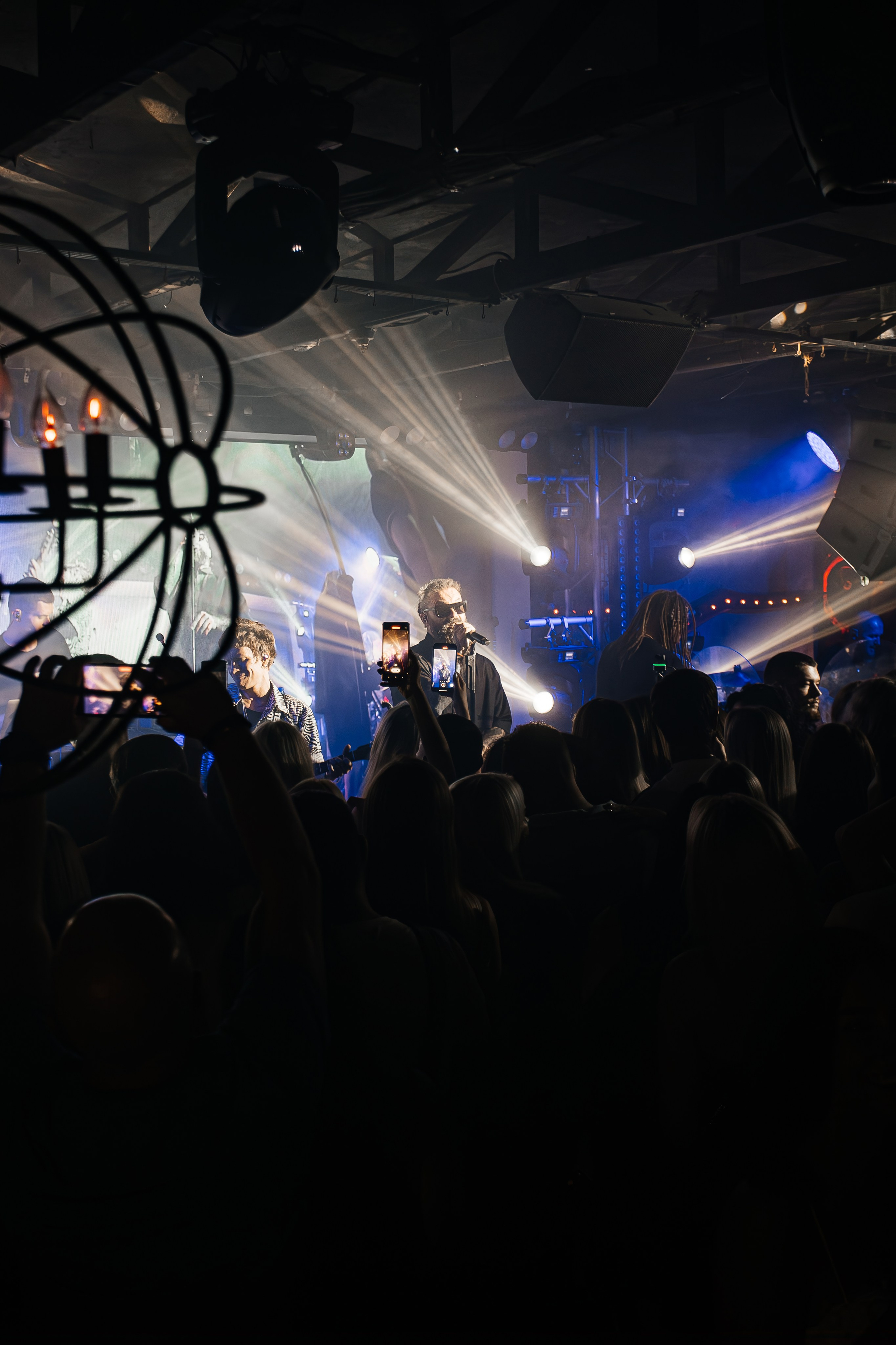 Бурито_Чайка_на_пляже_Ялта 23.08.2024. Аминов Руслан | Фотограф