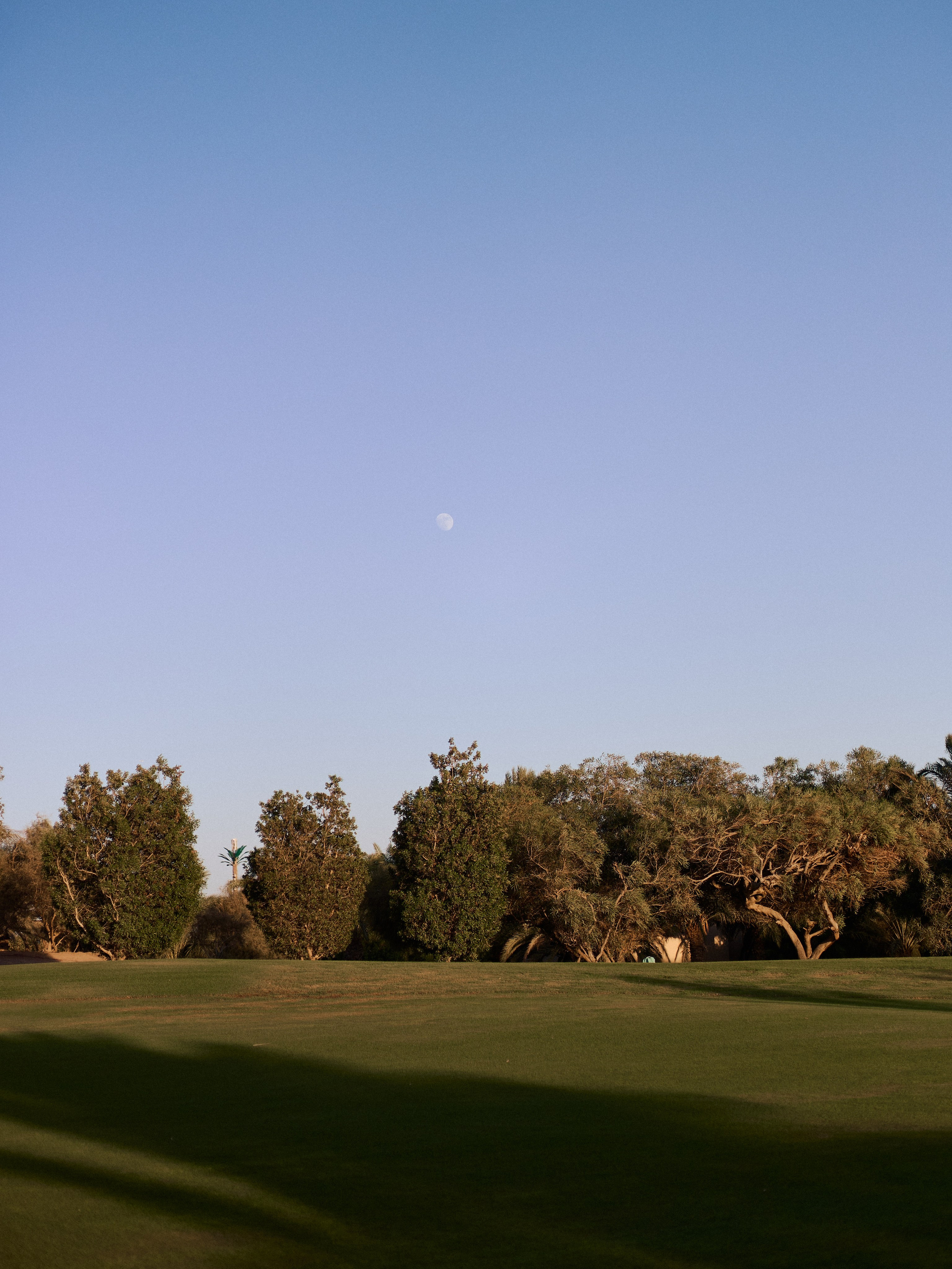 Другое 3. Jorgis Talè — photographer, kind person, teacher of arts and other mag