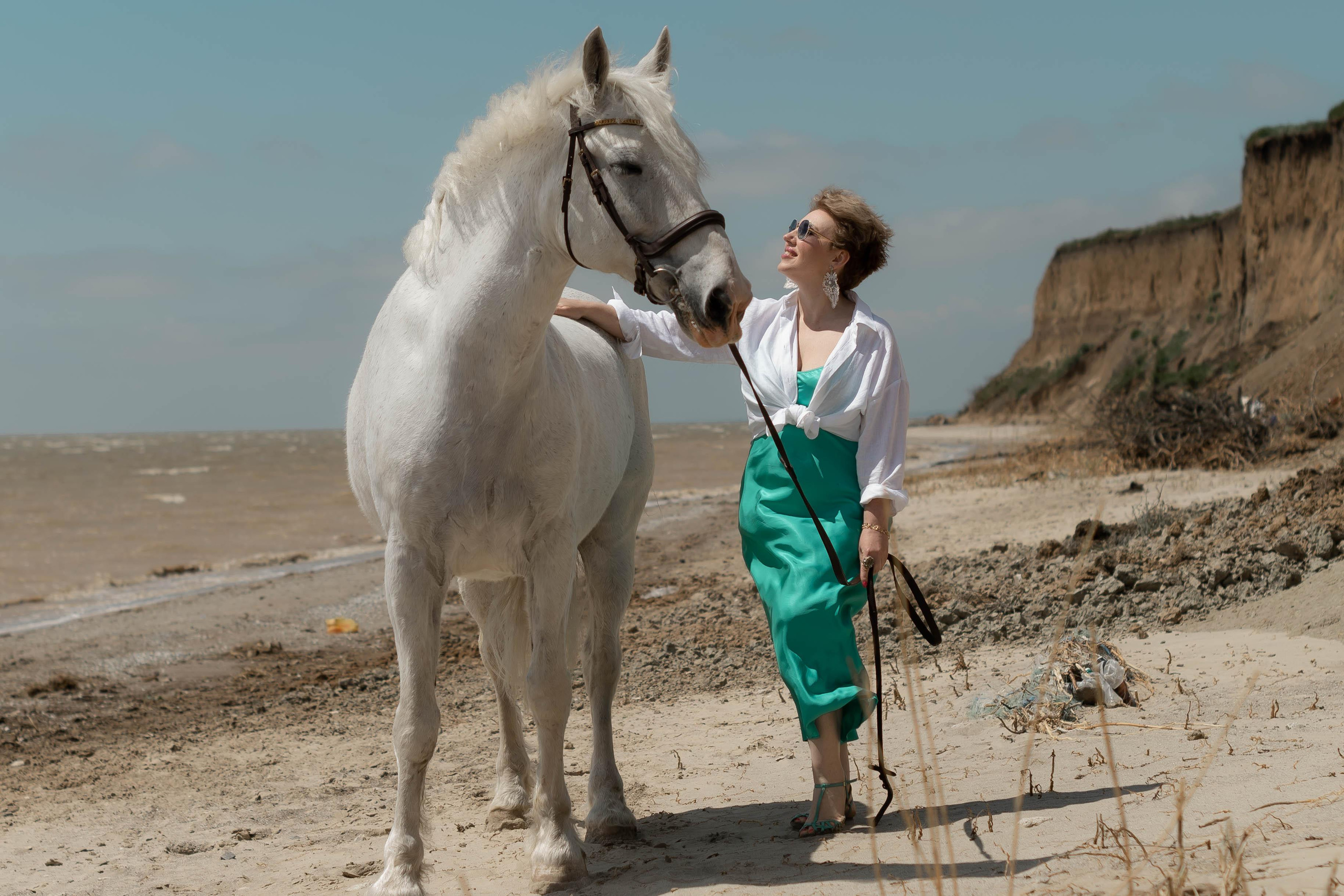 Цирковой конь Гефазт. Катерина Дрюкова фотограф/видеограф