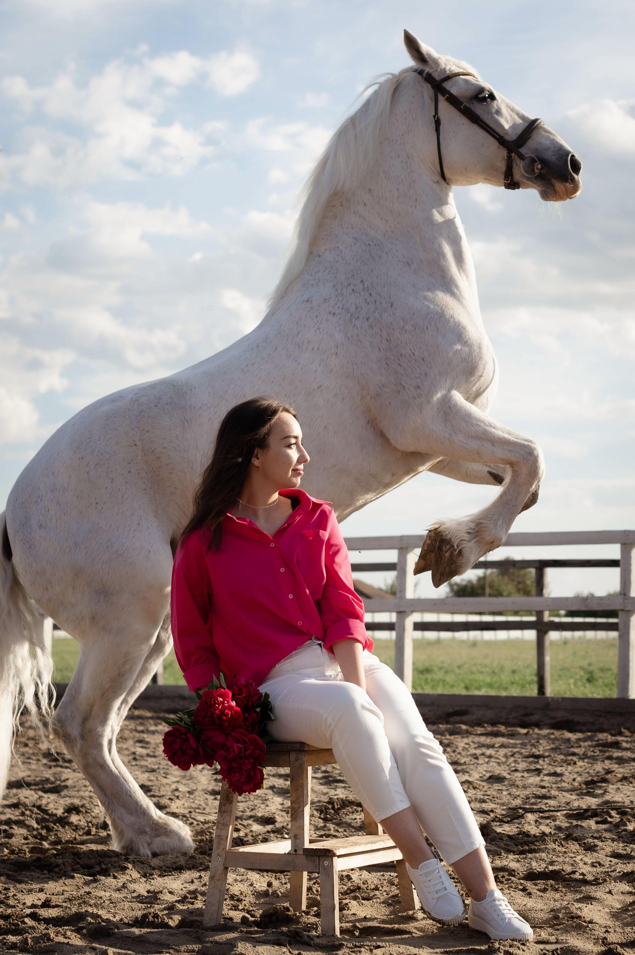Цирковой конь Гефазт. Катерина Дрюкова фотограф/видеограф