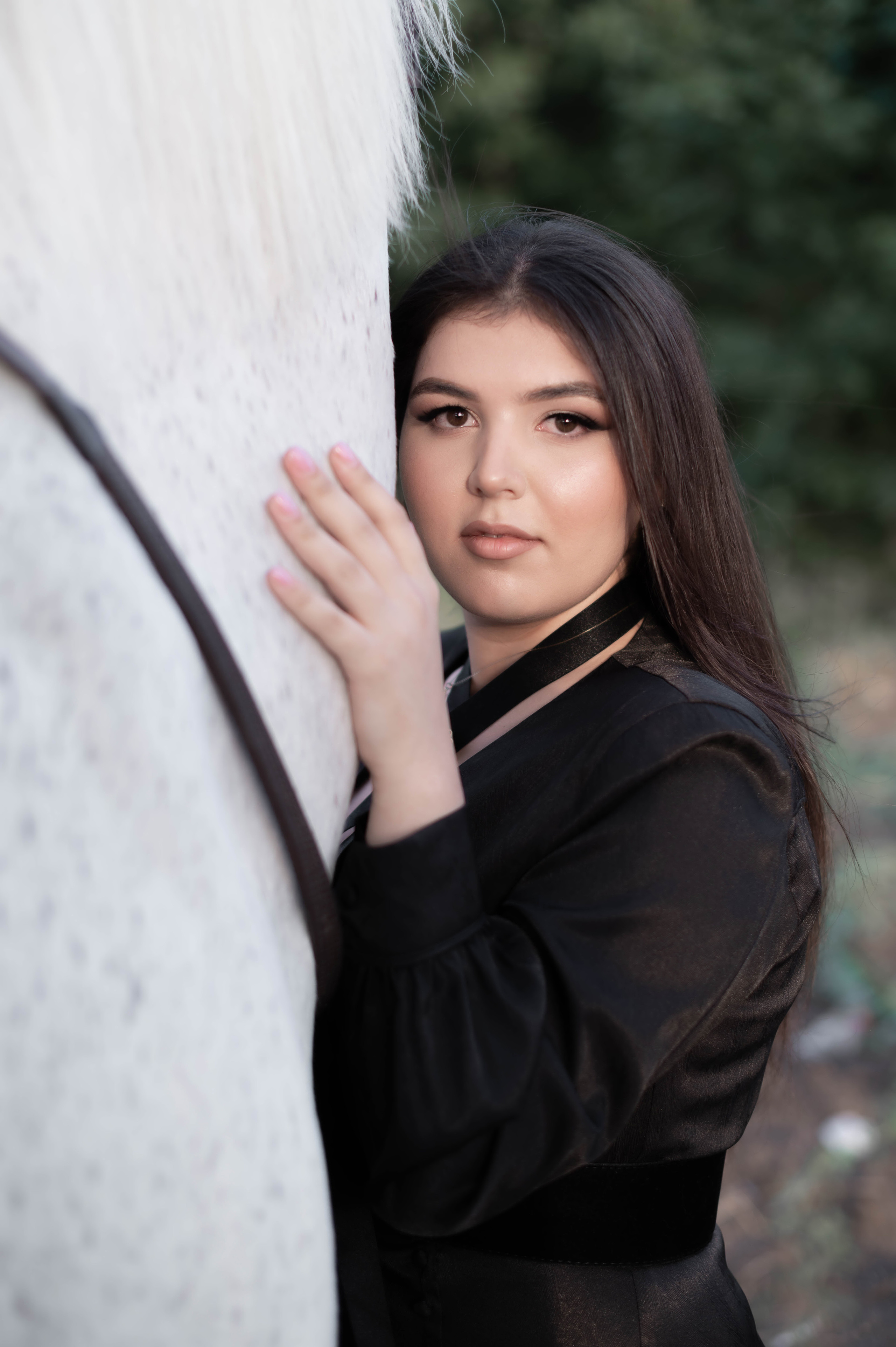 Цирковой конь Гефазт. Катерина Дрюкова фотограф/видеограф