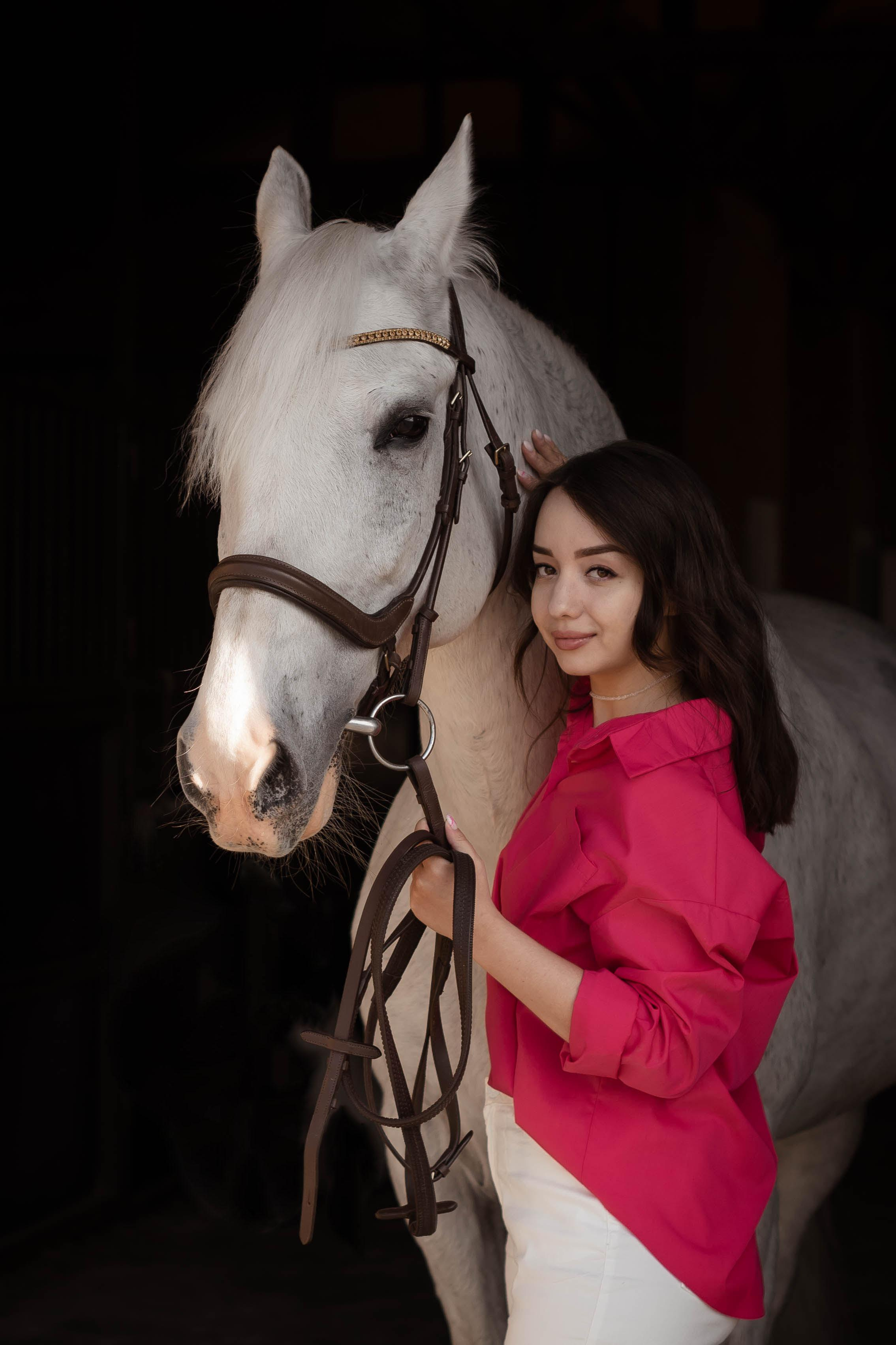 Цирковой конь Гефазт. Катерина Дрюкова фотограф/видеограф