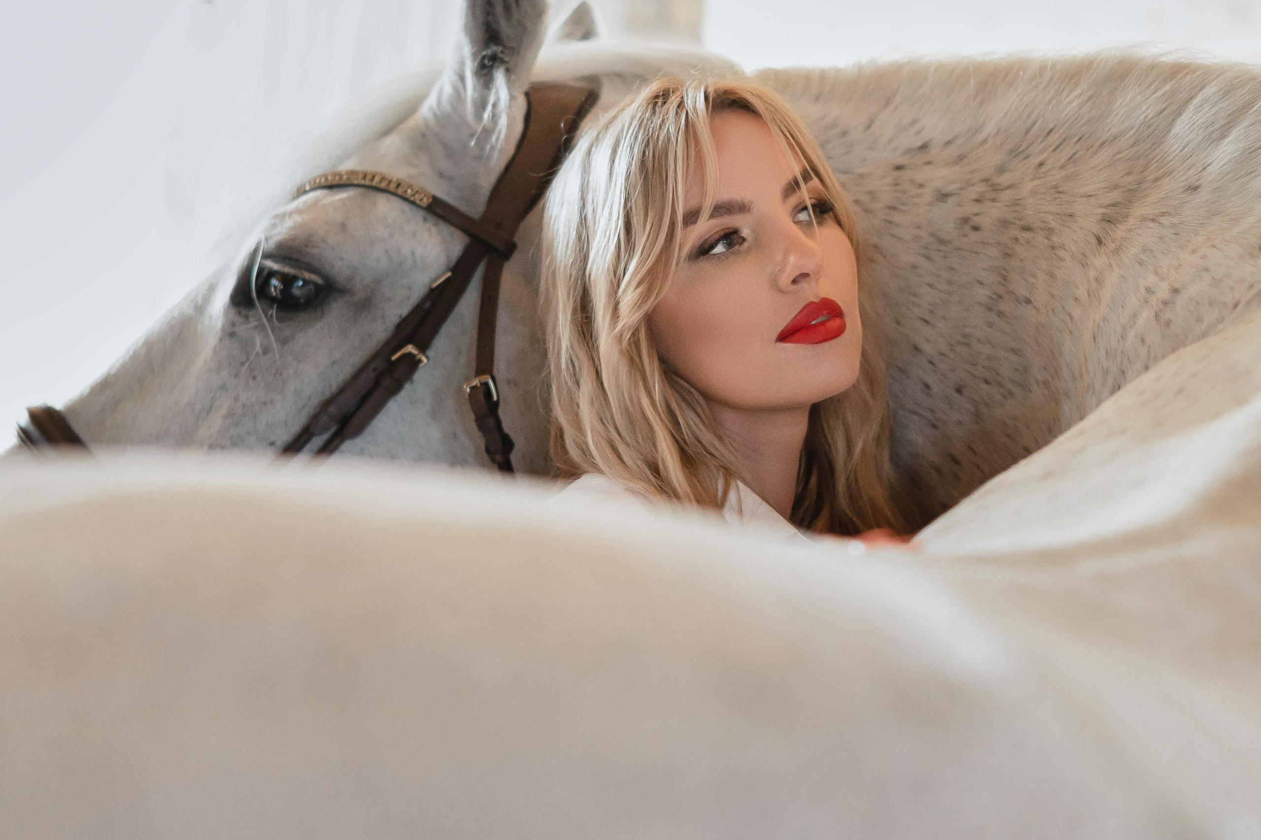 Цирковой конь Гефазт. Катерина Дрюкова фотограф/видеограф