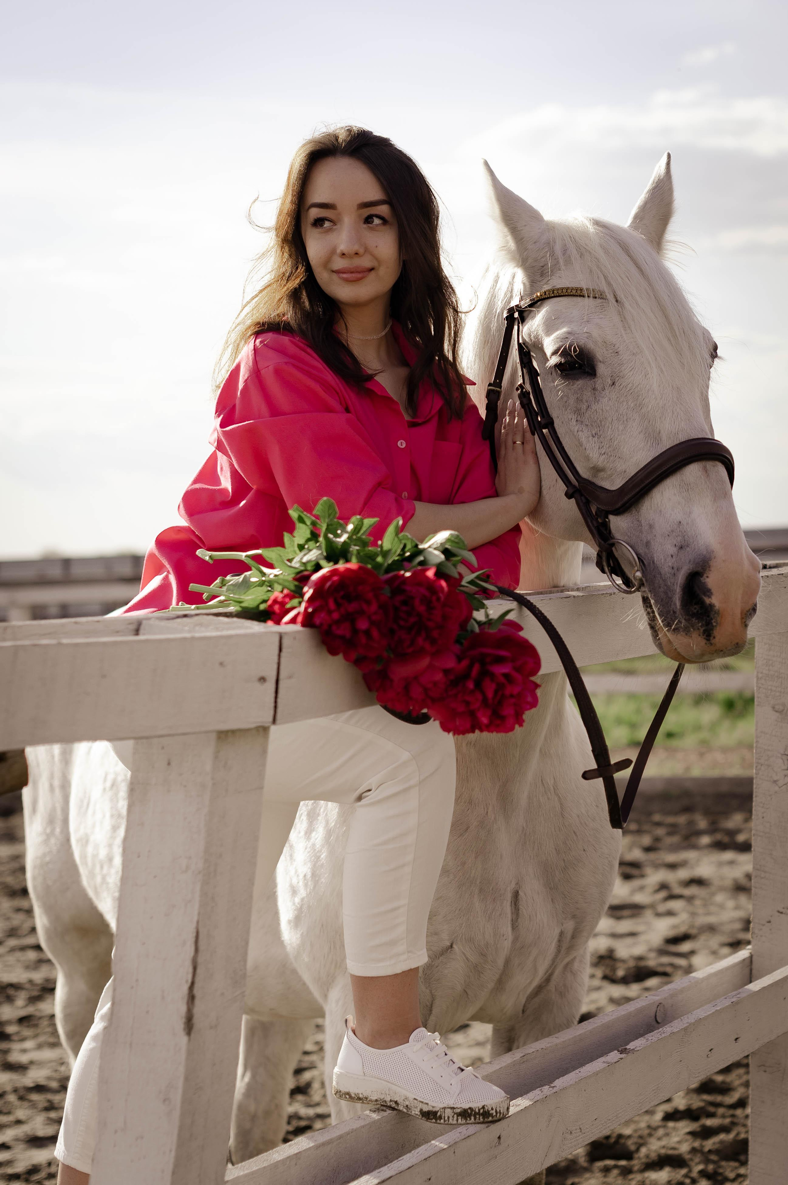 Цирковой конь Гефазт. Катерина Дрюкова фотограф/видеограф