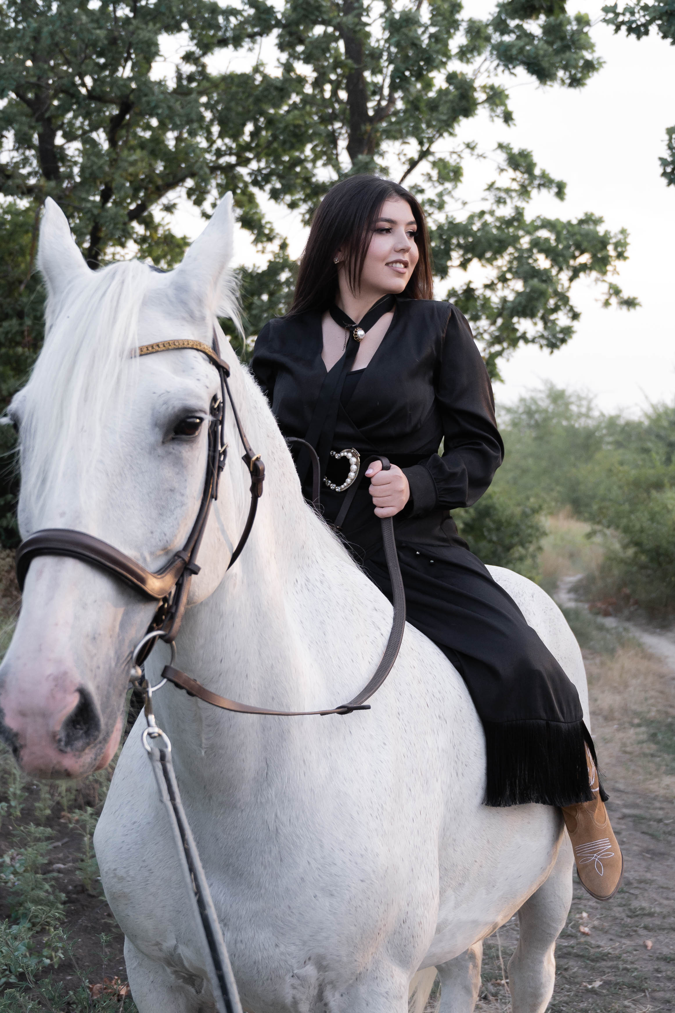 Цирковой конь Гефазт. Катерина Дрюкова фотограф/видеограф