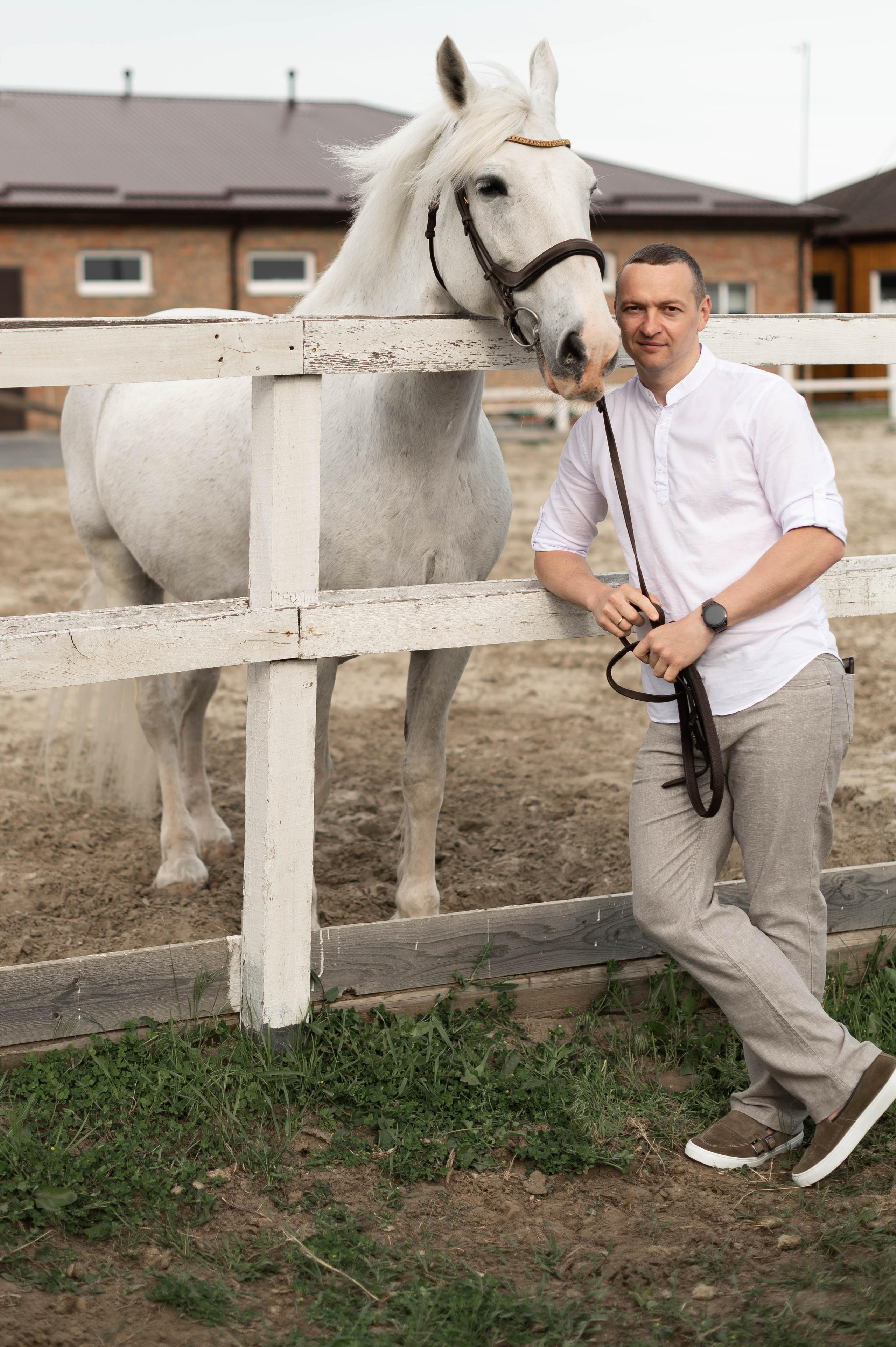 Цирковой конь Гефазт. Катерина Дрюкова фотограф/видеограф