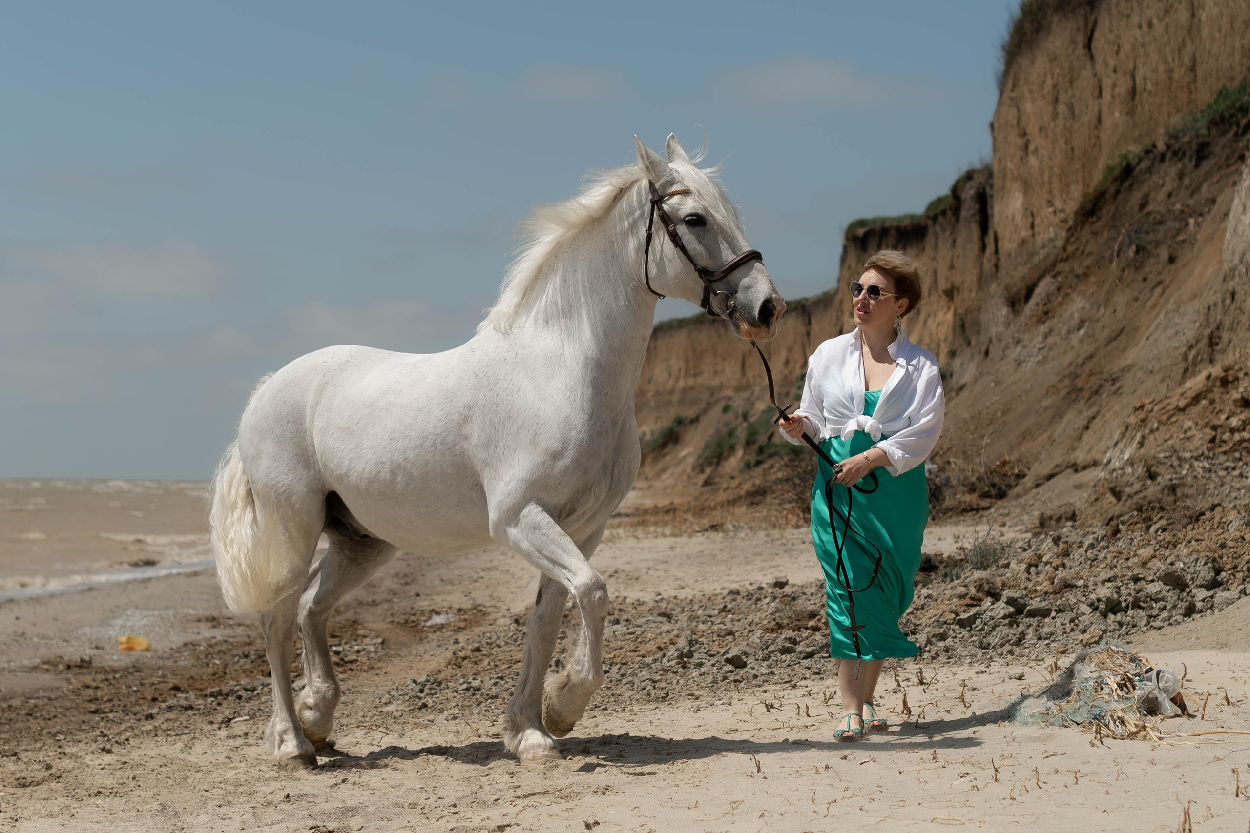 Цирковой конь Гефазт. Катерина Дрюкова фотограф/видеограф