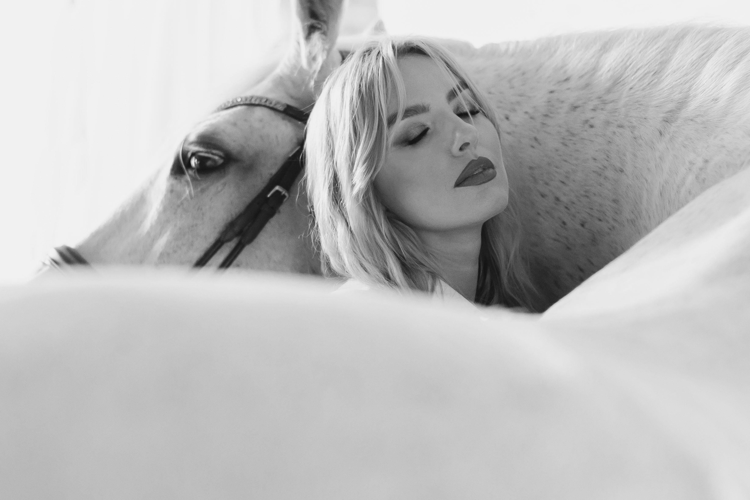 Цирковой конь Гефазт. Катерина Дрюкова фотограф/видеограф