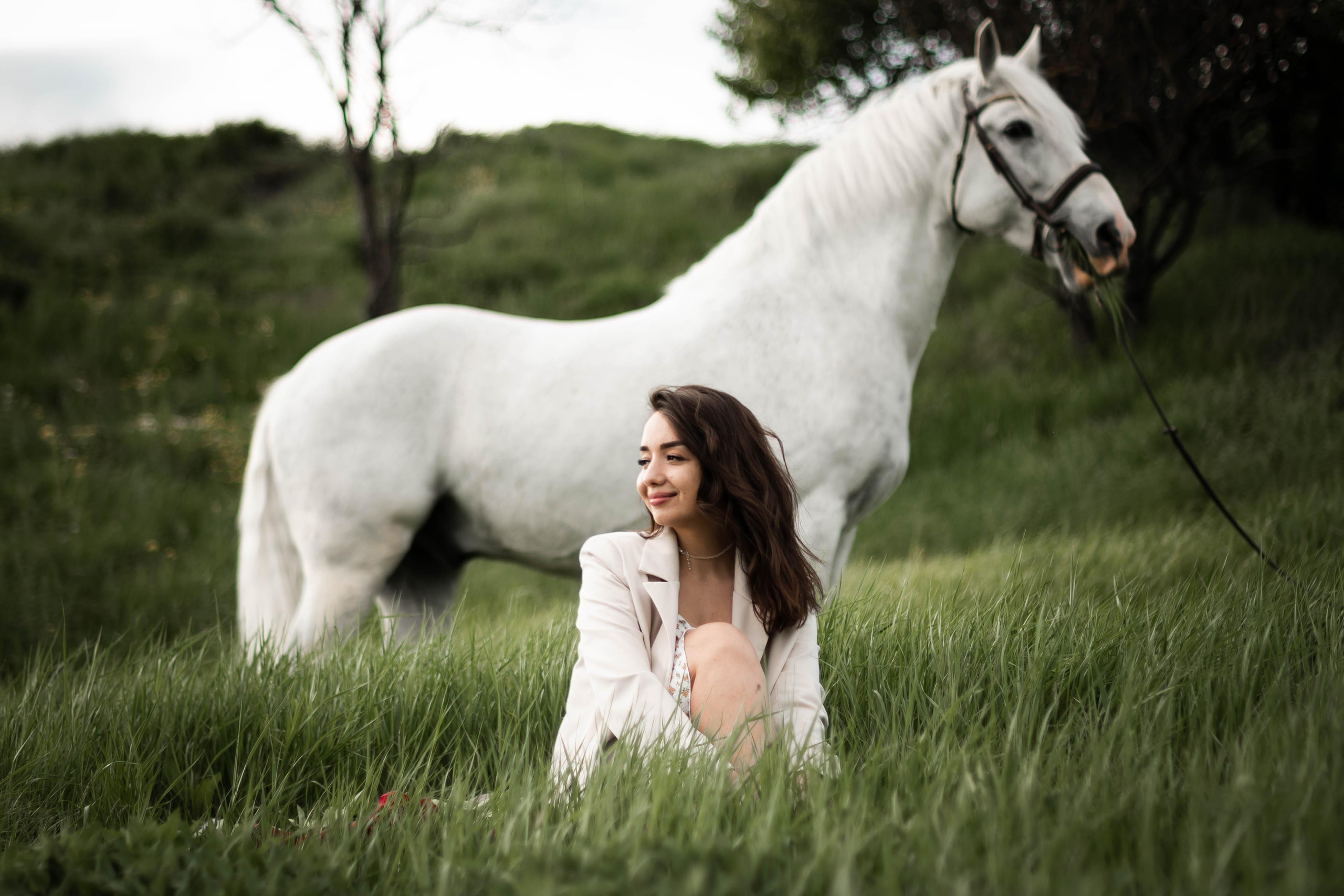 Цирковой конь Гефазт. Катерина Дрюкова фотограф/видеограф