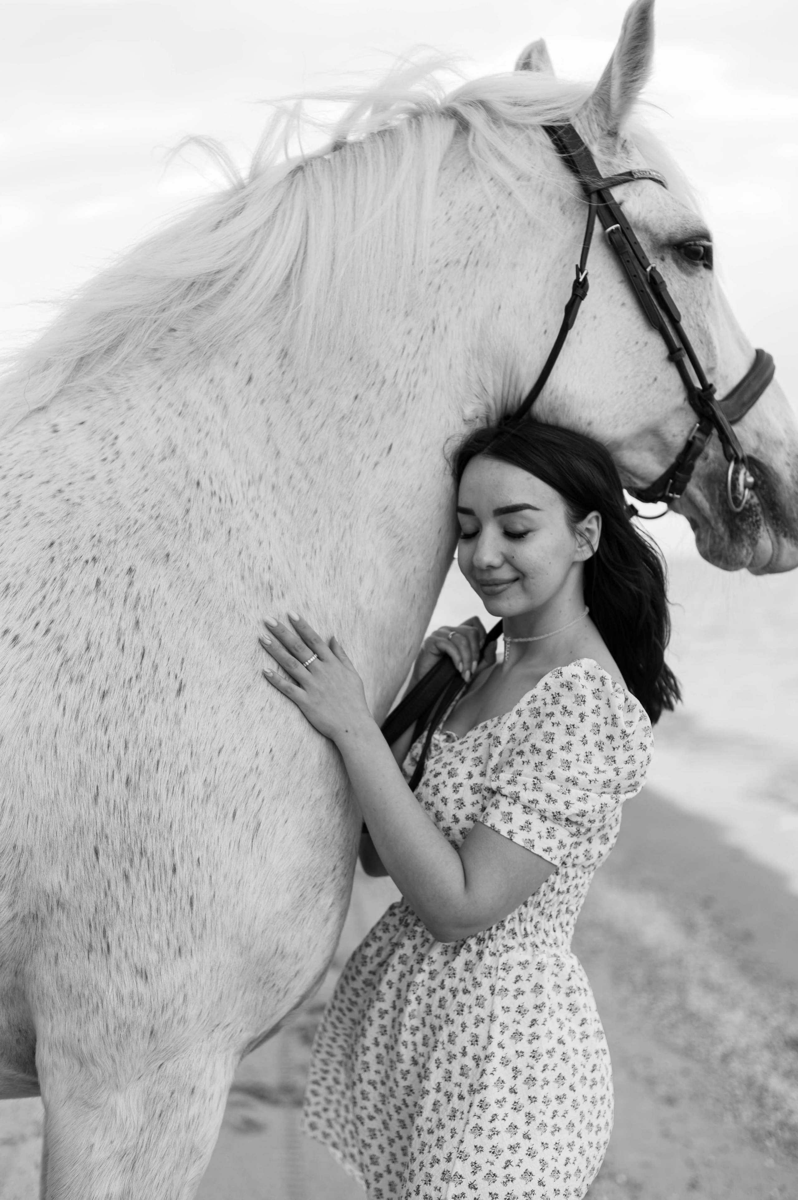 Цирковой конь Гефазт. Катерина Дрюкова фотограф/видеограф