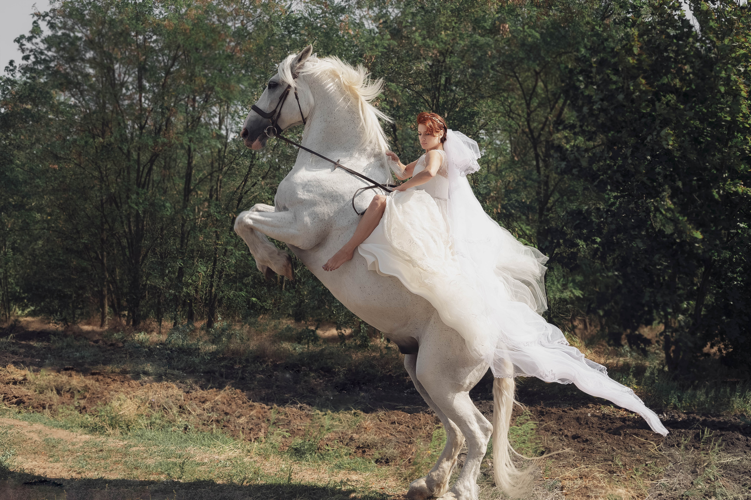 Глеб и Наталья. Катерина Дрюкова фотограф/видеограф