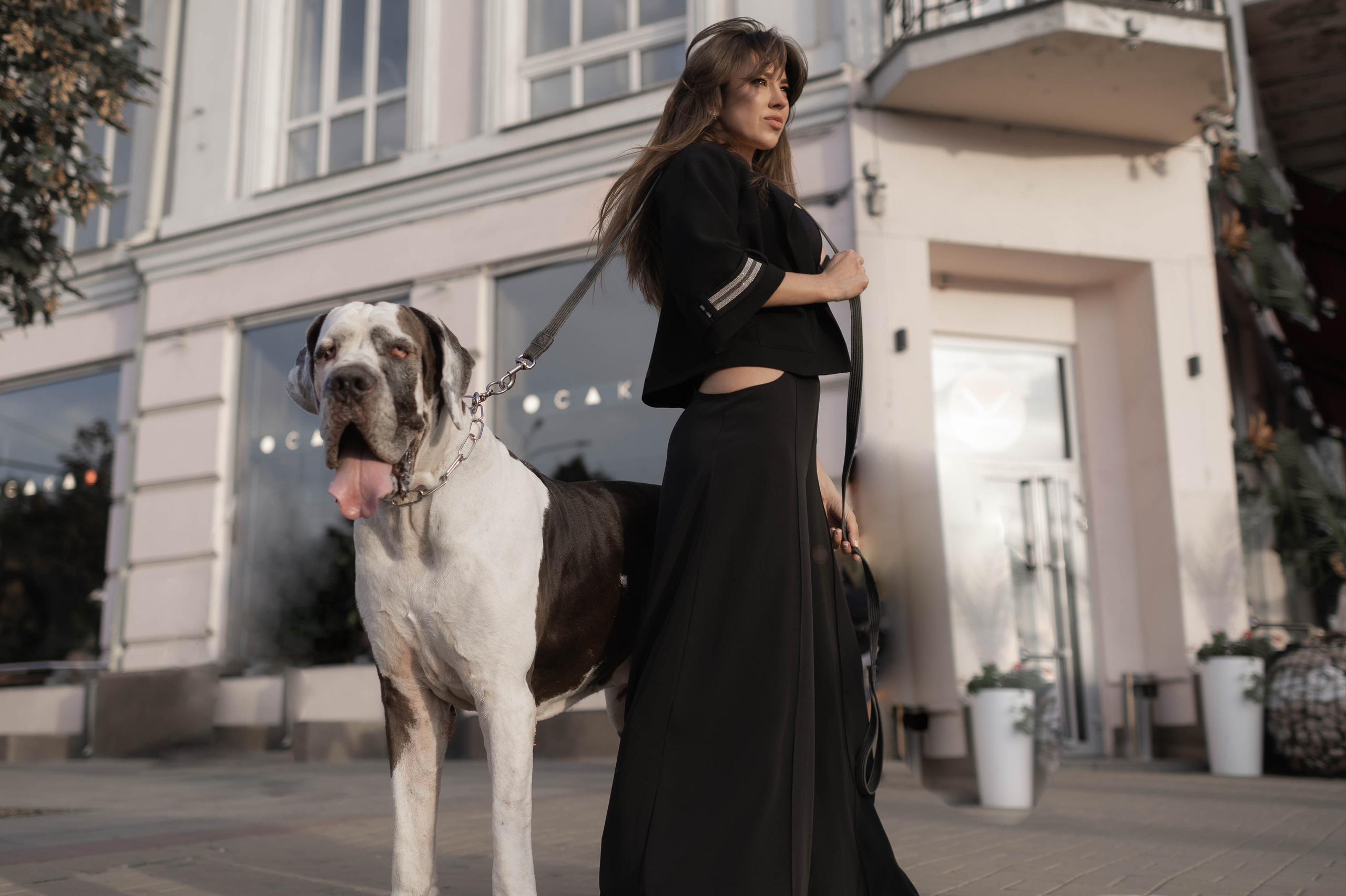 Дог. Катерина Дрюкова фотограф/видеограф