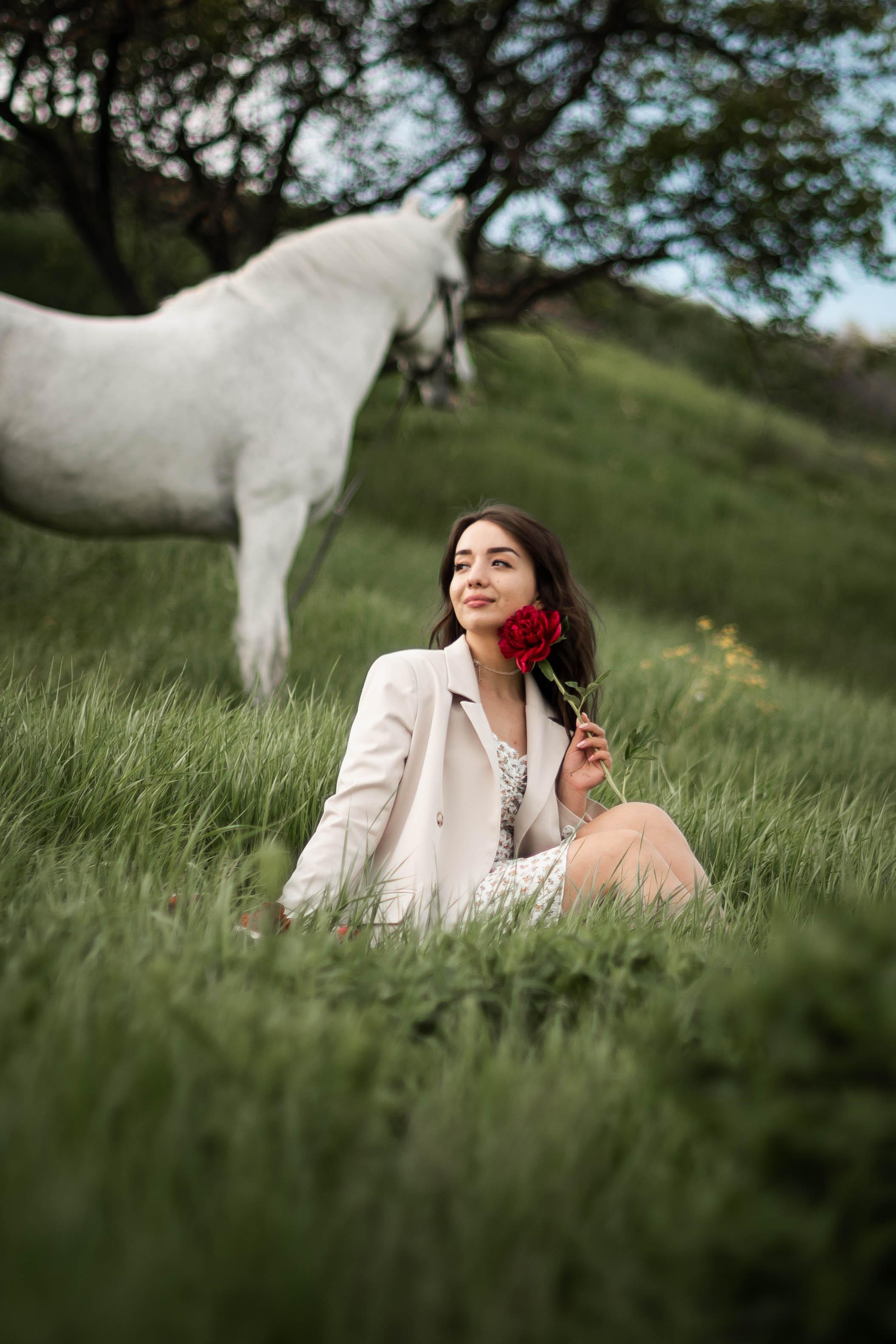 Цирковой конь Гефазт. Катерина Дрюкова фотограф/видеограф