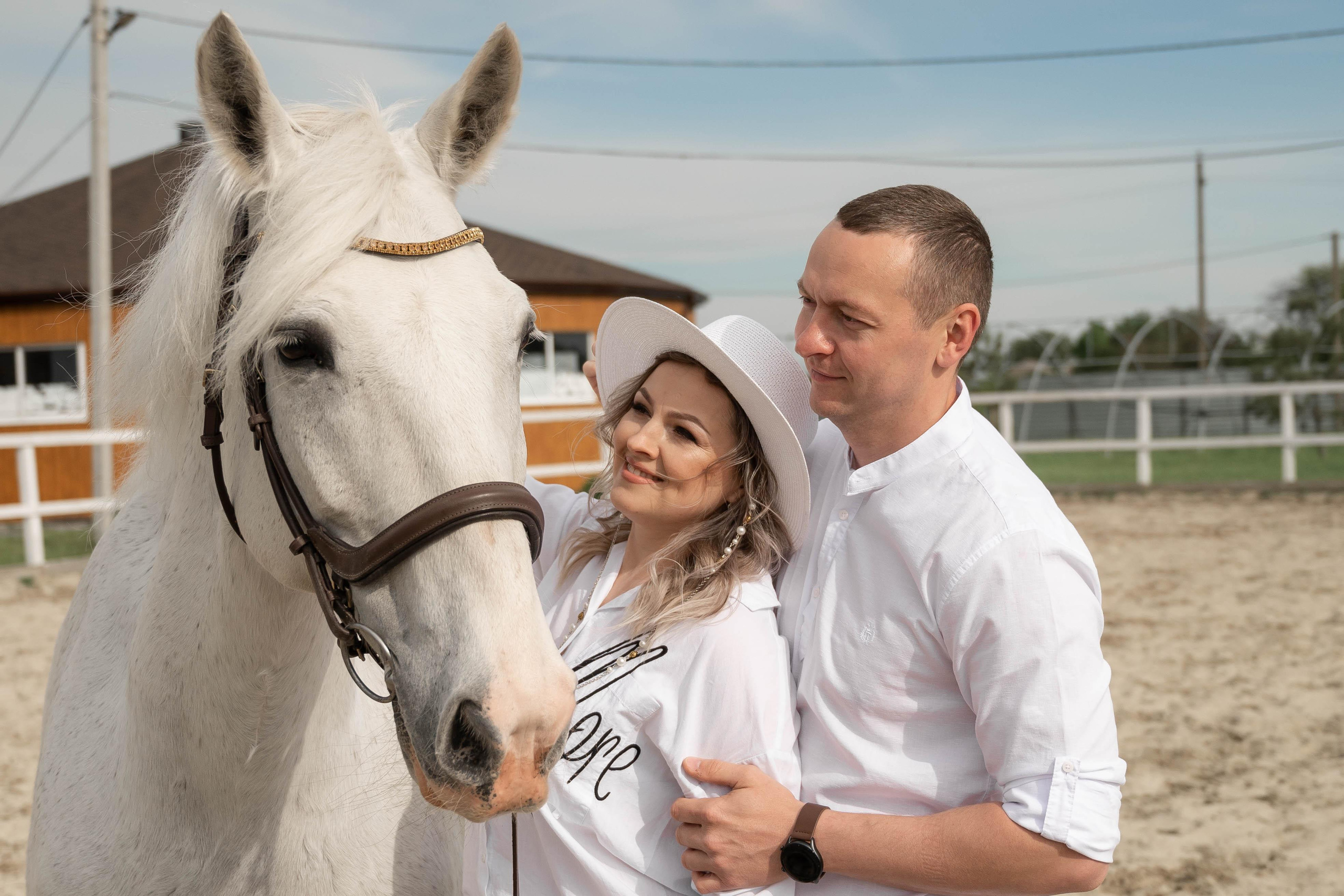 Цирковой конь Гефазт. Катерина Дрюкова фотограф/видеограф