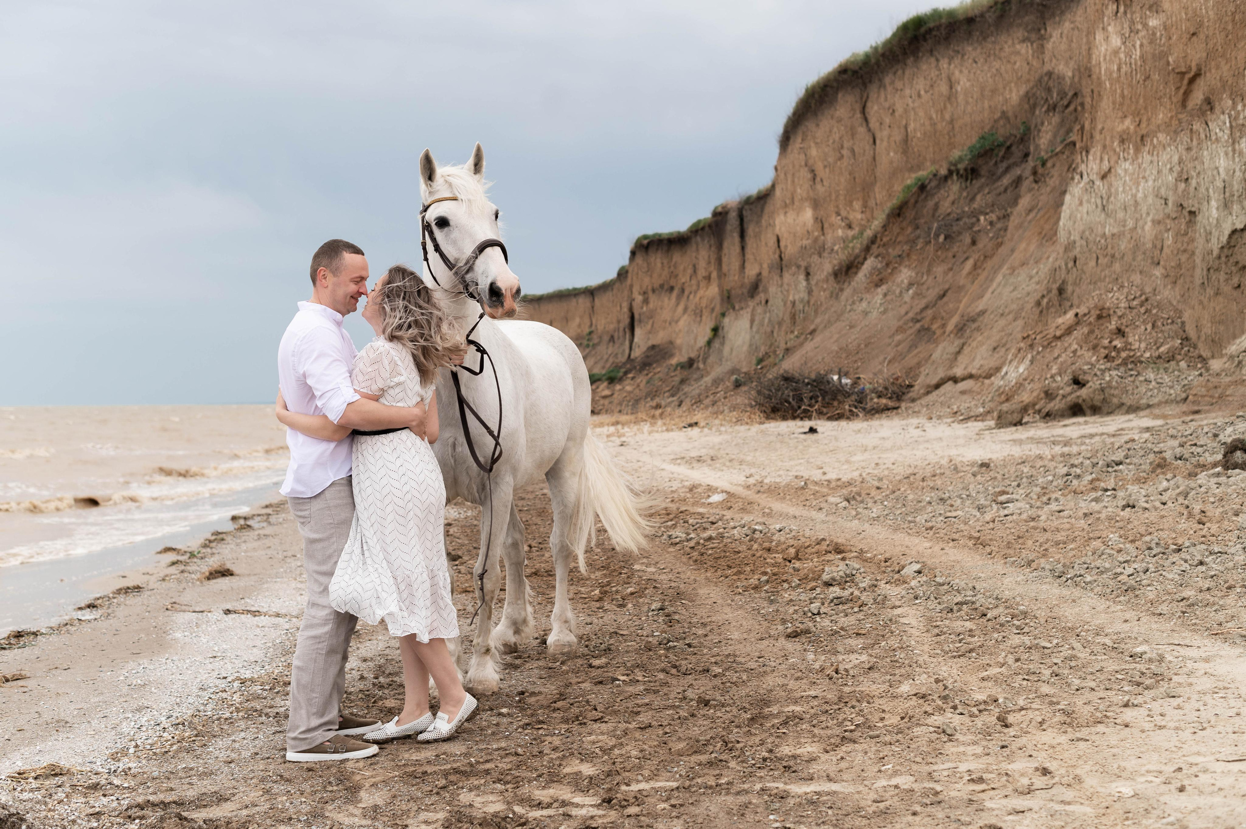 Цирковой конь Гефазт. Катерина Дрюкова фотограф/видеограф