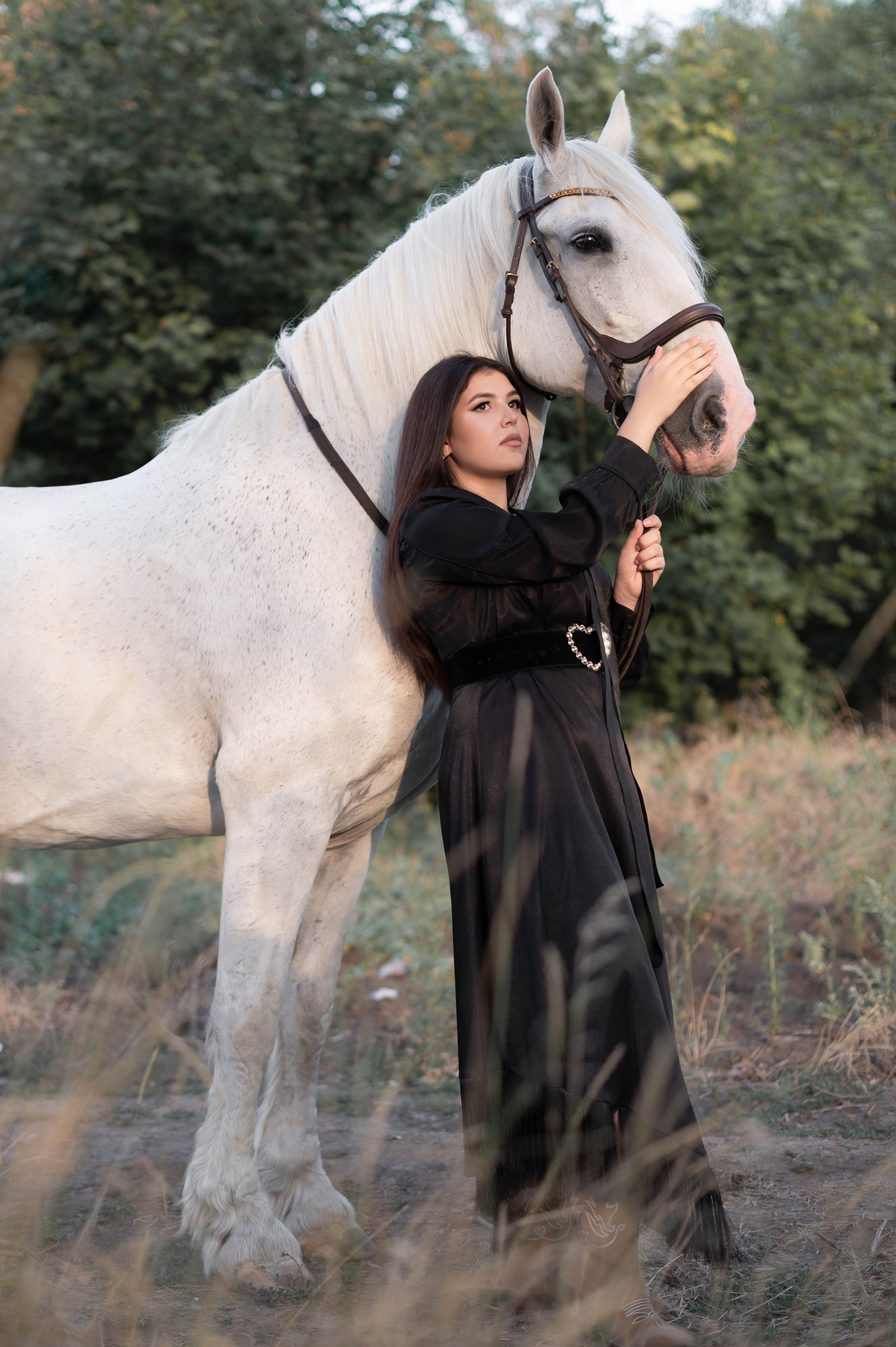 Цирковой конь Гефазт. Катерина Дрюкова фотограф/видеограф