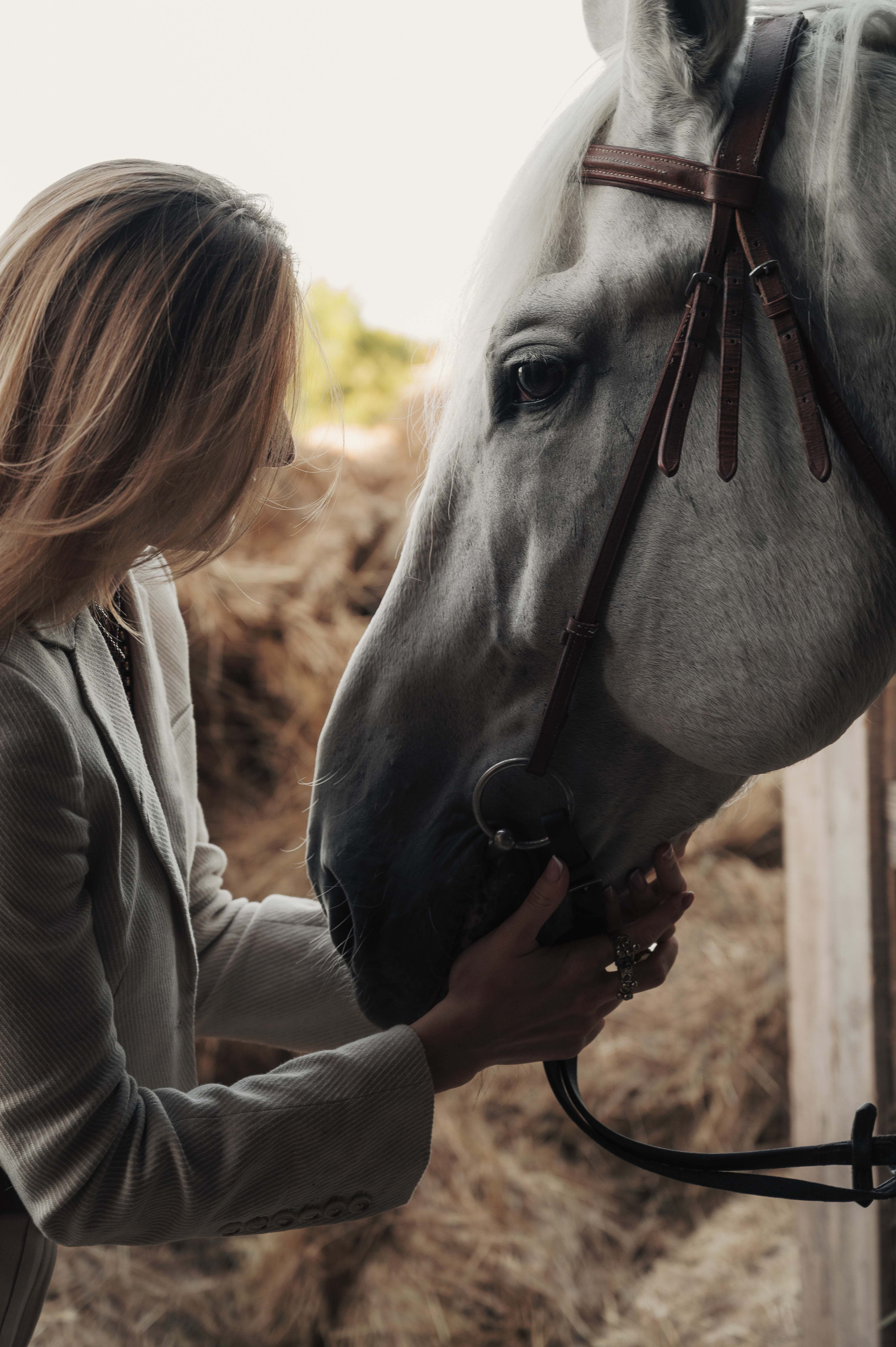 Три образа на конюшне. Катерина Дрюкова фотограф/видеограф