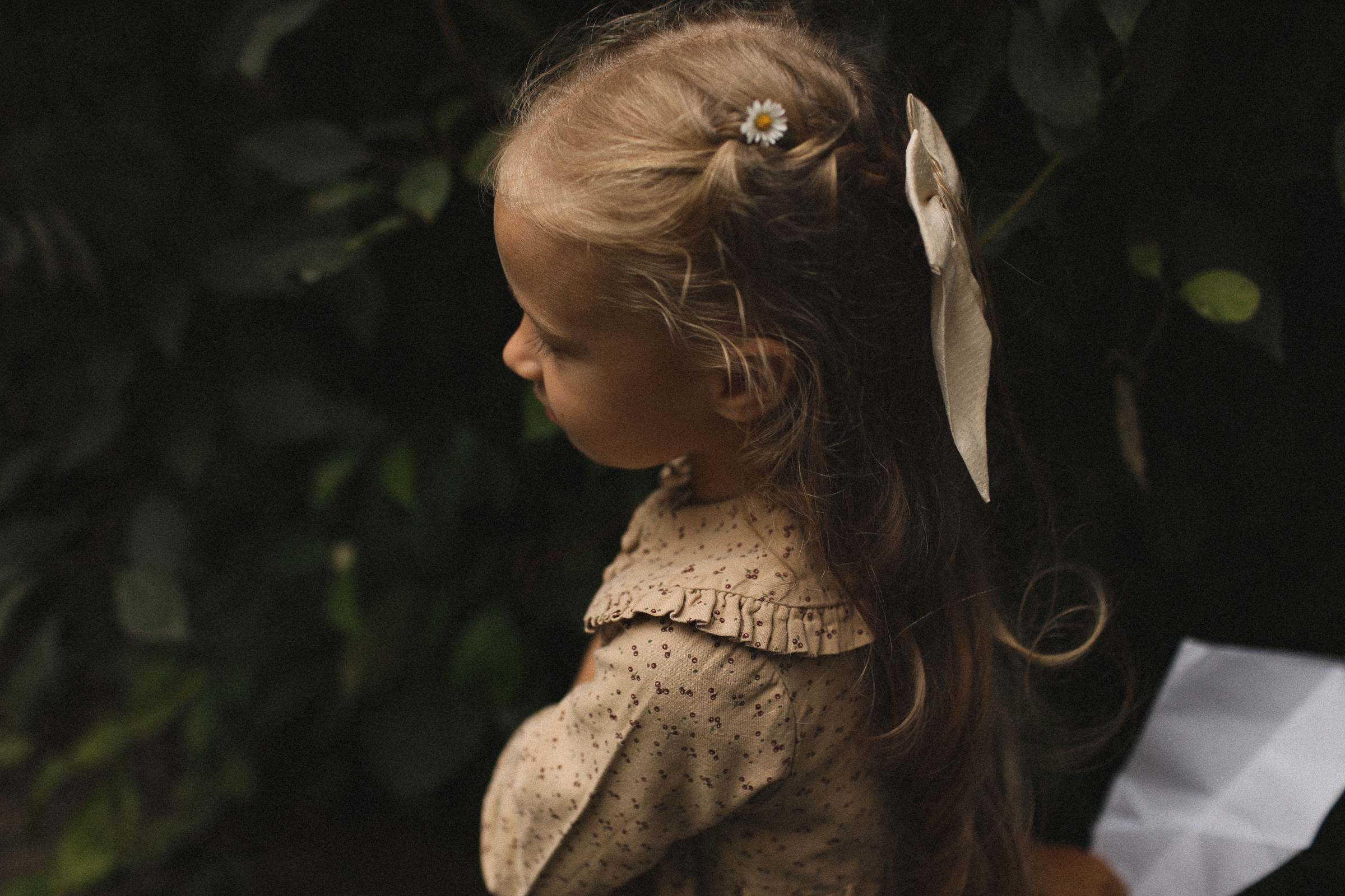 Кошки-Мышки. Семейный фотограф в Москве Алевтина Носова