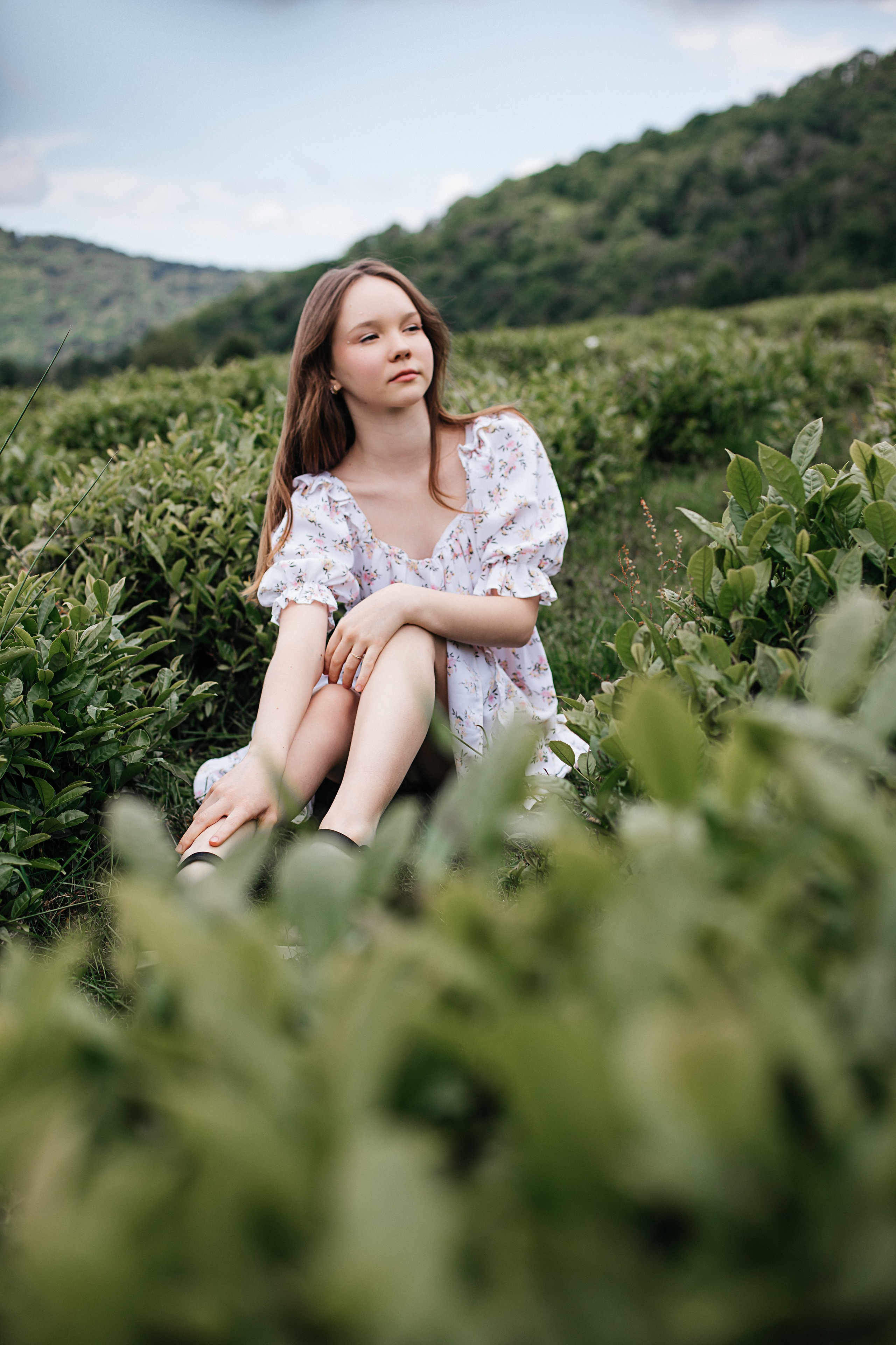 Tea plantation. Efimova Model Agency