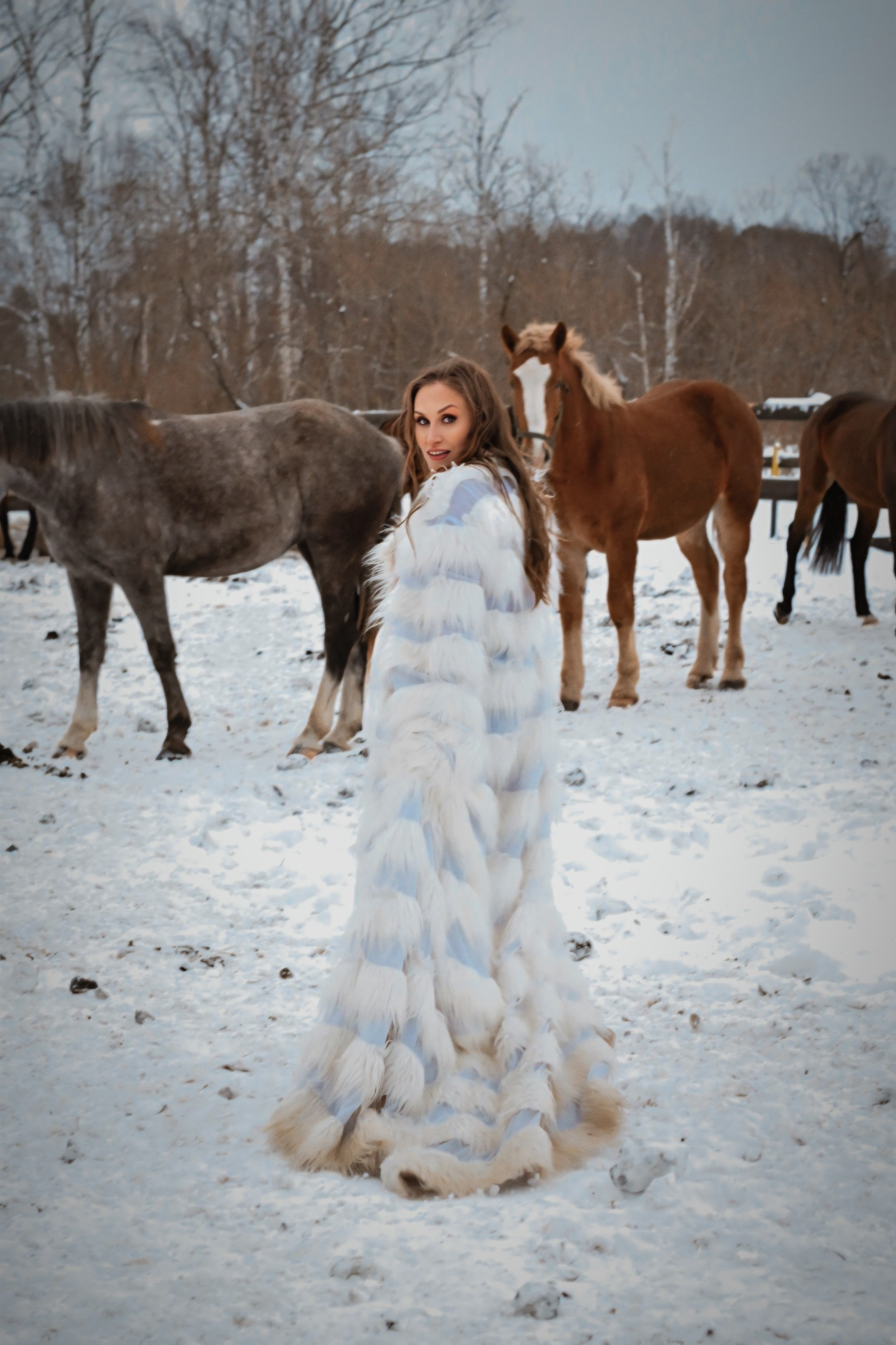 Фото СИМВОЛ ГОДА 2026 от Анны. ФОТОПРОЕКТЫ