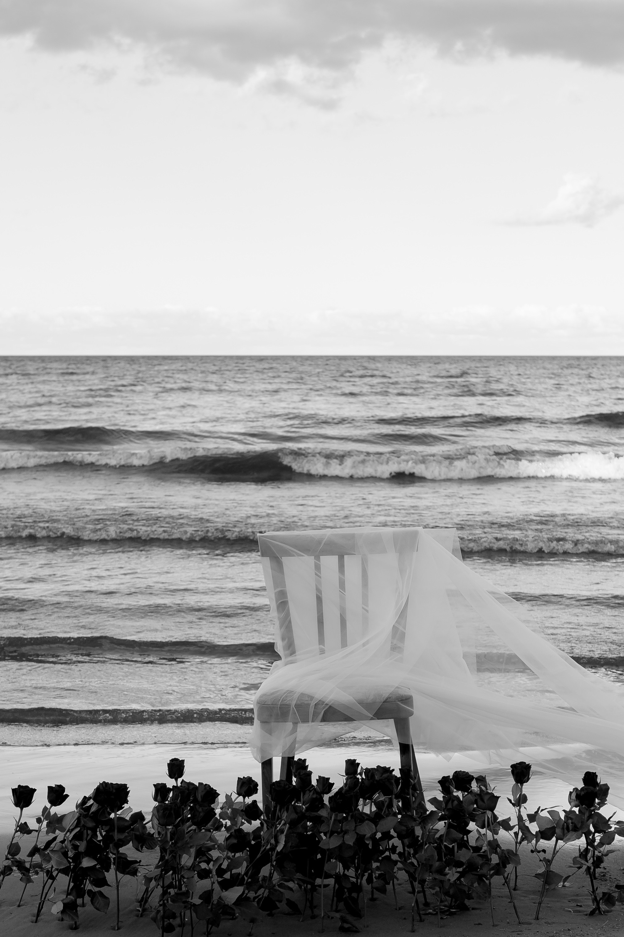 Розы. Профессиональный фотограф, Санкт-Петербург — Виктория Богомолова