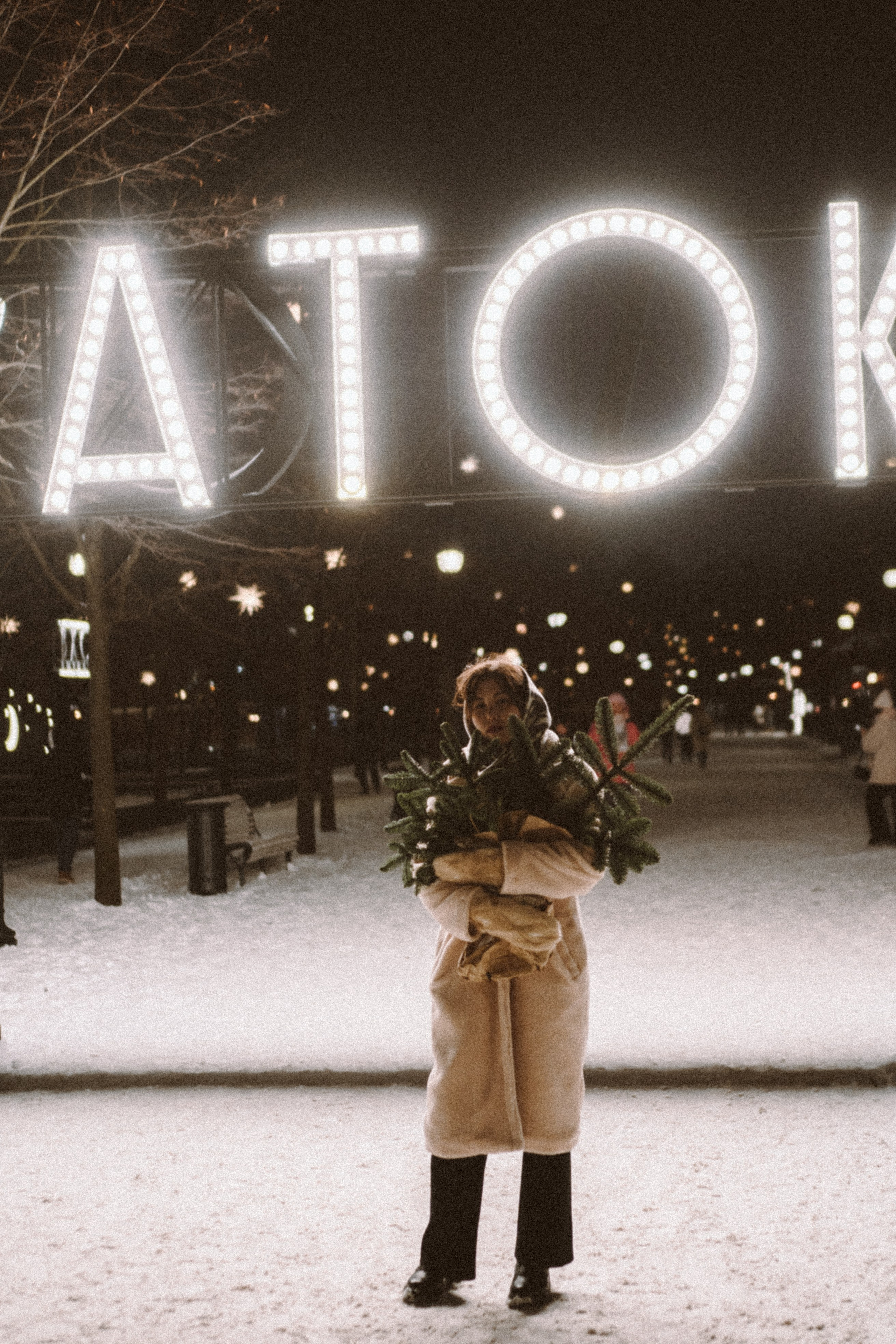 Зимняя сказка в Новой Голандии. Профессиональный фотограф, Санкт-Петербург — Виктория Богомолова