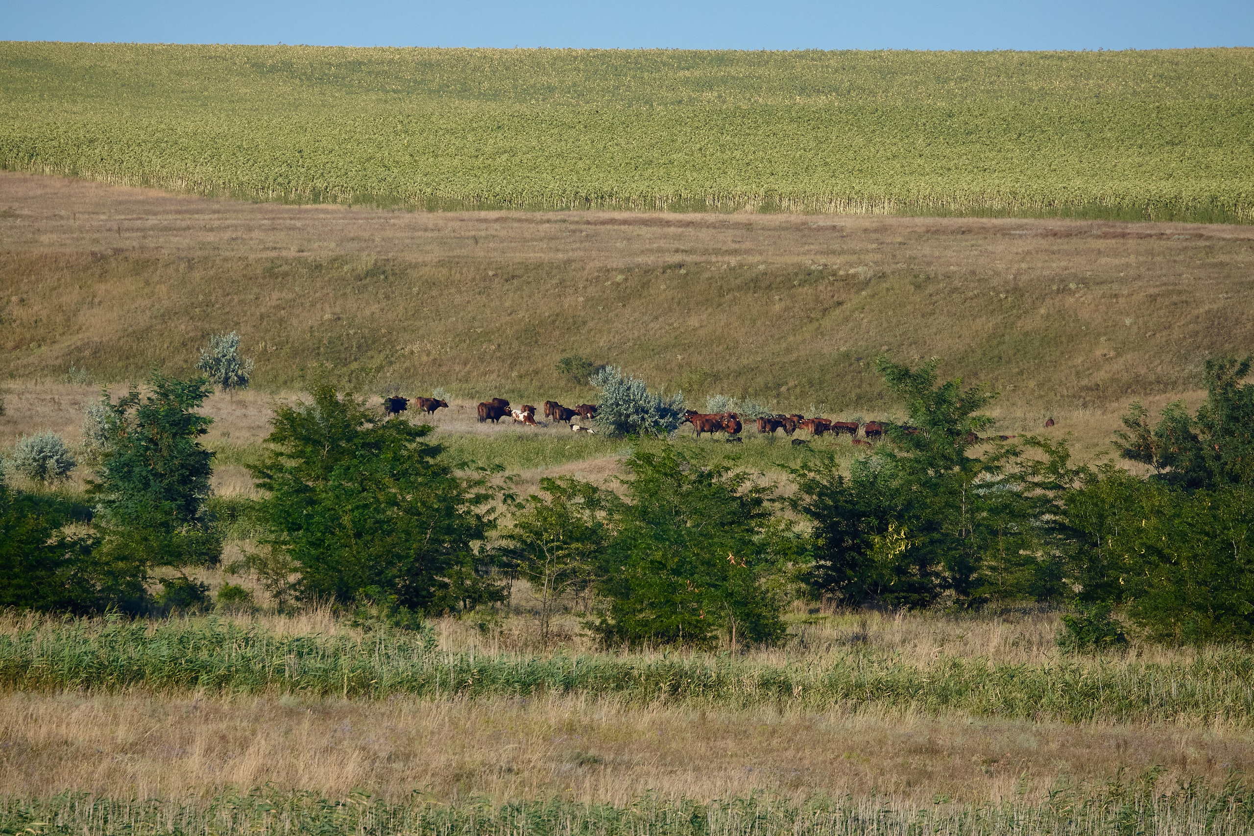 Крым. Пейзажи Крайнего Севера. Баренцево море, Рыбачий, Средний, Немецкий