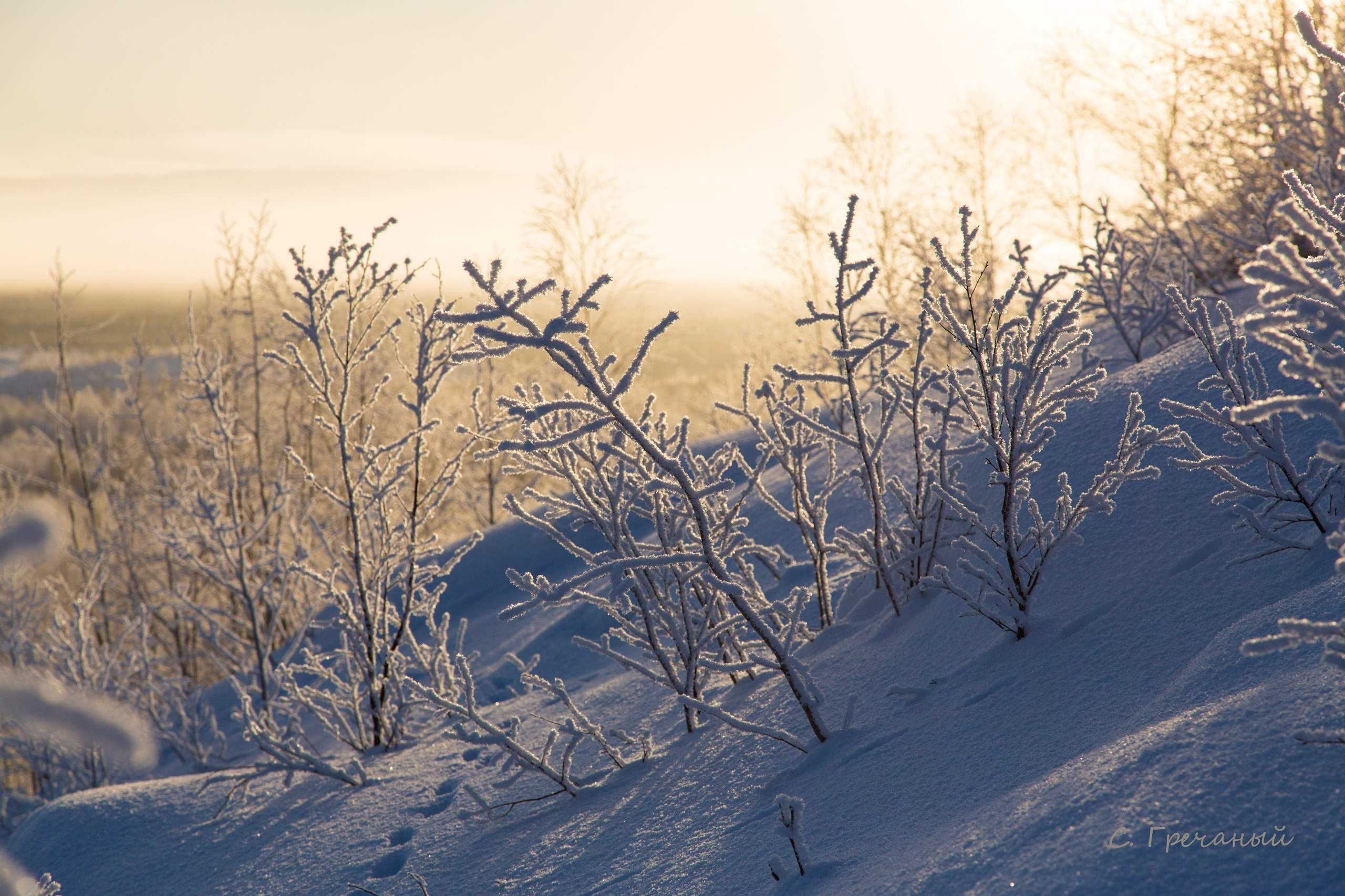 Зима. Пейзажи Крайнего Севера. Баренцево море, Рыбачий, Средний, Немецкий