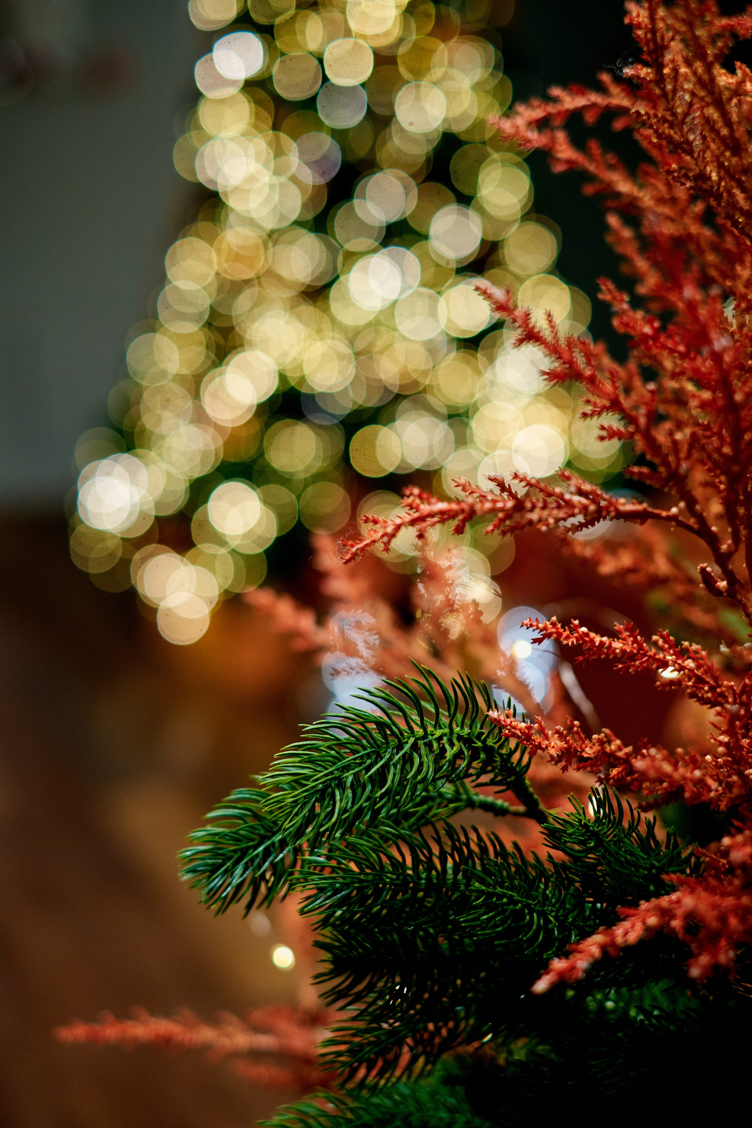 Новогодний декор ресторана Альбатрос. Фотограф Таганрог Анна Трайжон