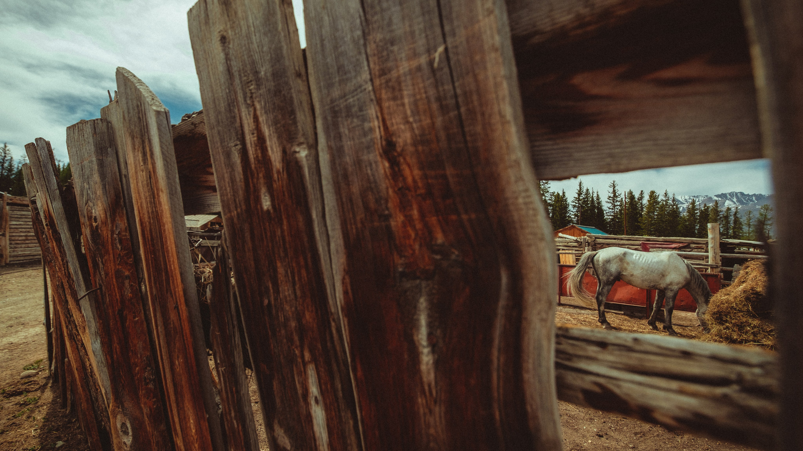 Путешествия. Профессиональный фотограф Виктор Гагарин — Промышленная, Event, Портретная, Репортажная съемка в Новокузнецке, Кемерово, Новосибирске