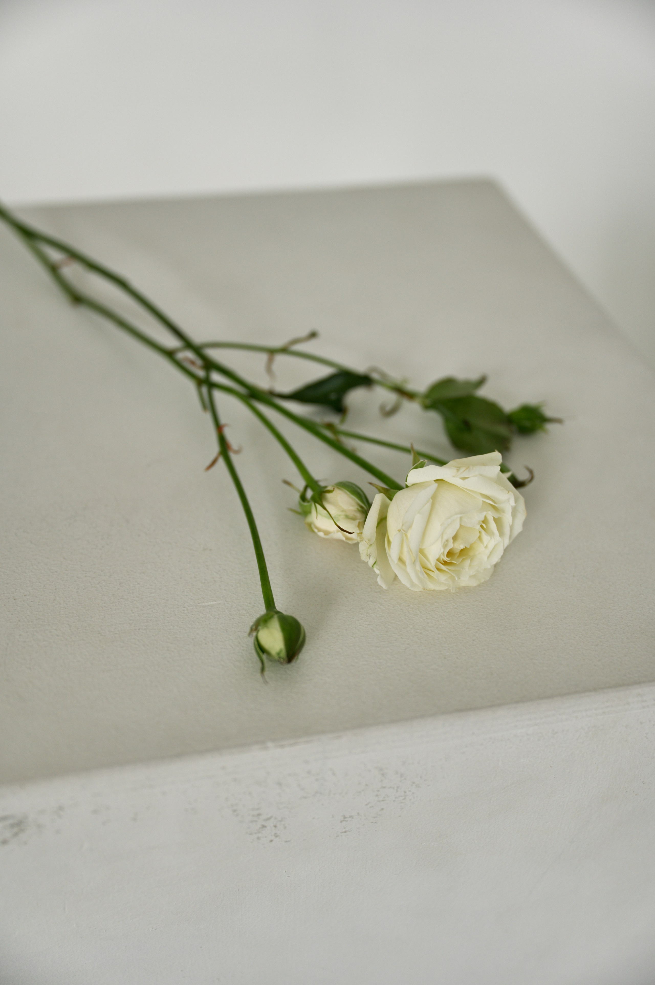 Юля. Фотограф Челябинск — Кирилл Устюжанин