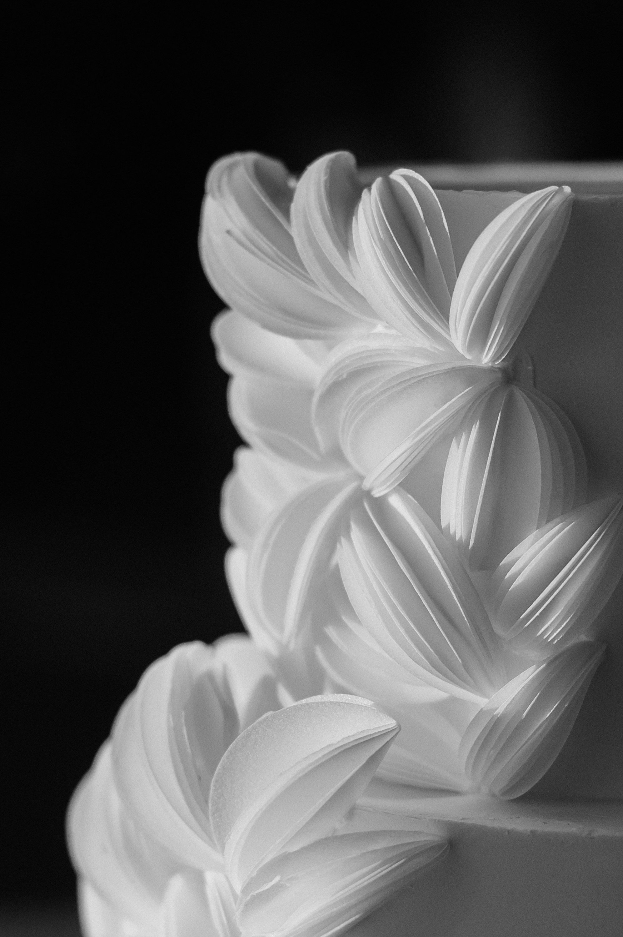 Максим и Мария. Свадебный фотограф