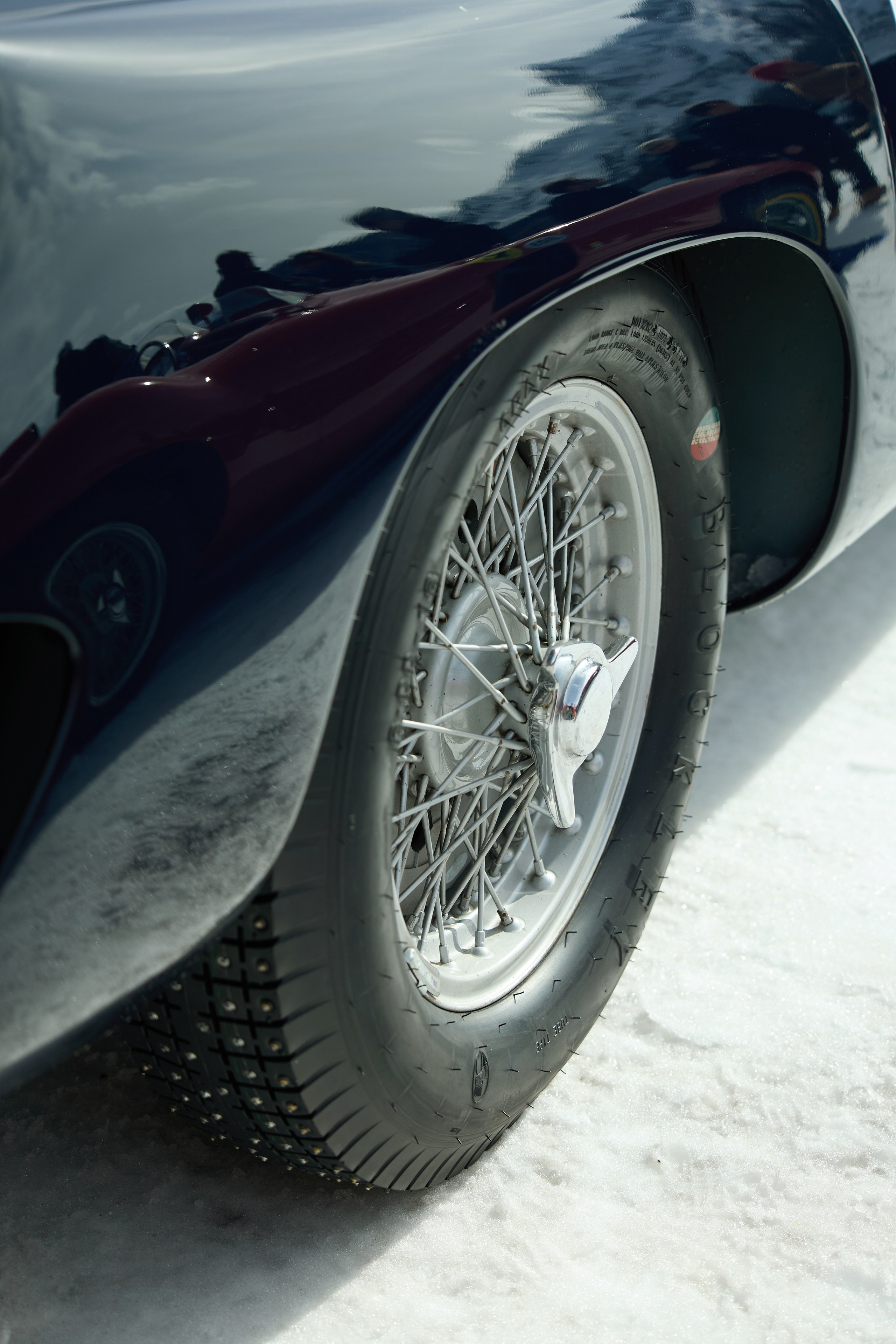 The ICE St. Moritz. Photographer in Milan Ivan Goncharov