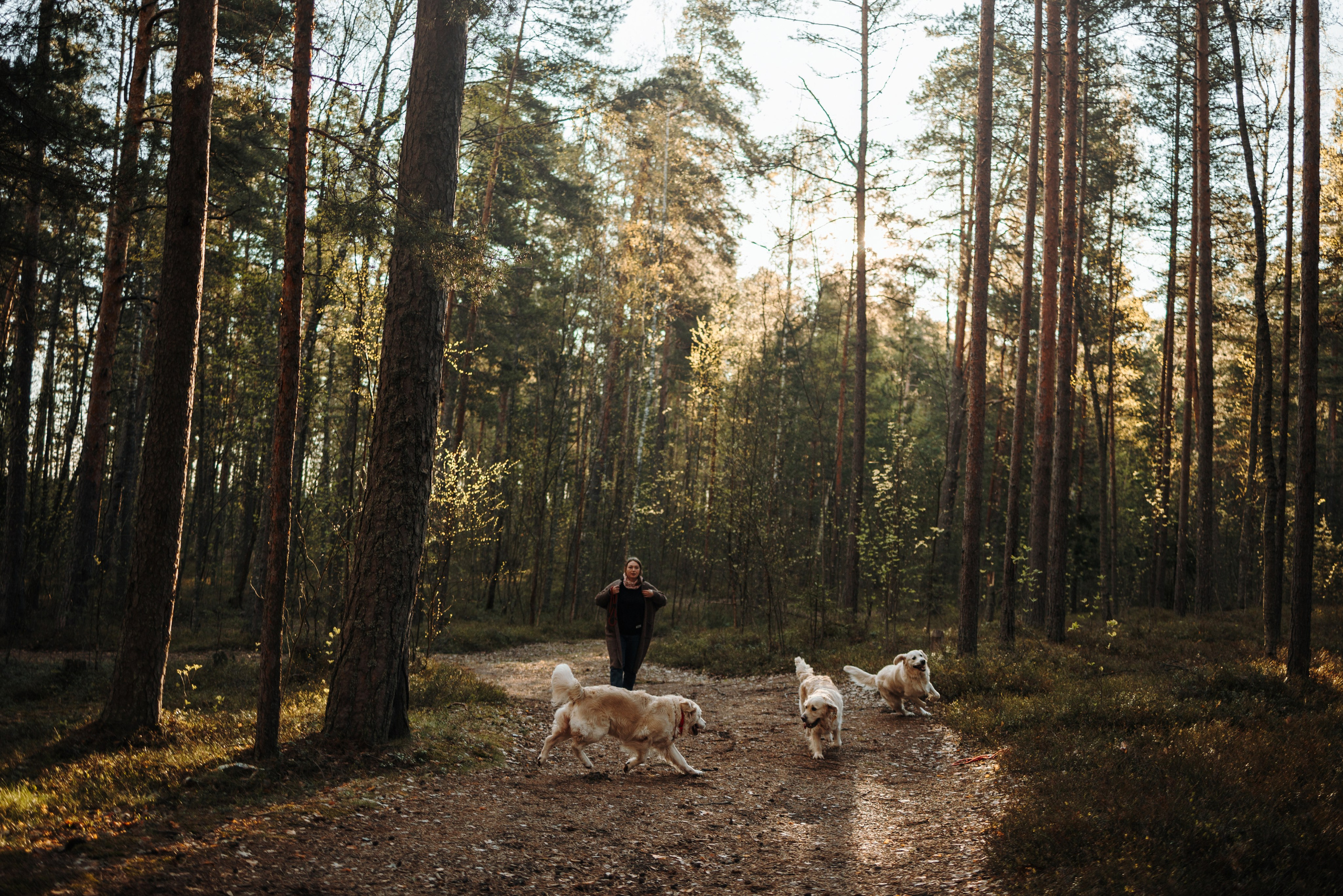 Катя и ее девочки. Фотограф — Анималист | Санкт-Петербург